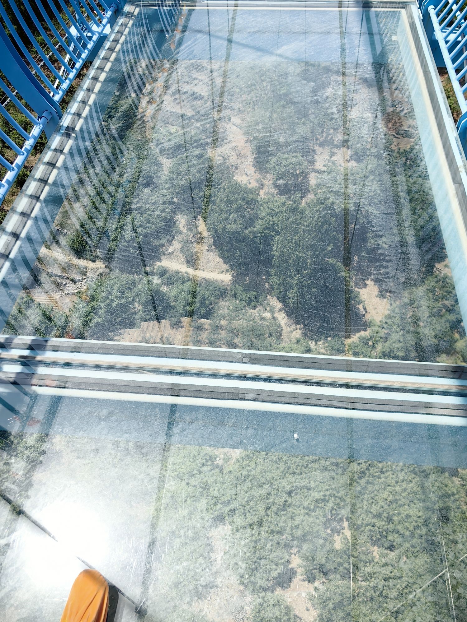 九顶梅花山风景区旅行图片 1
