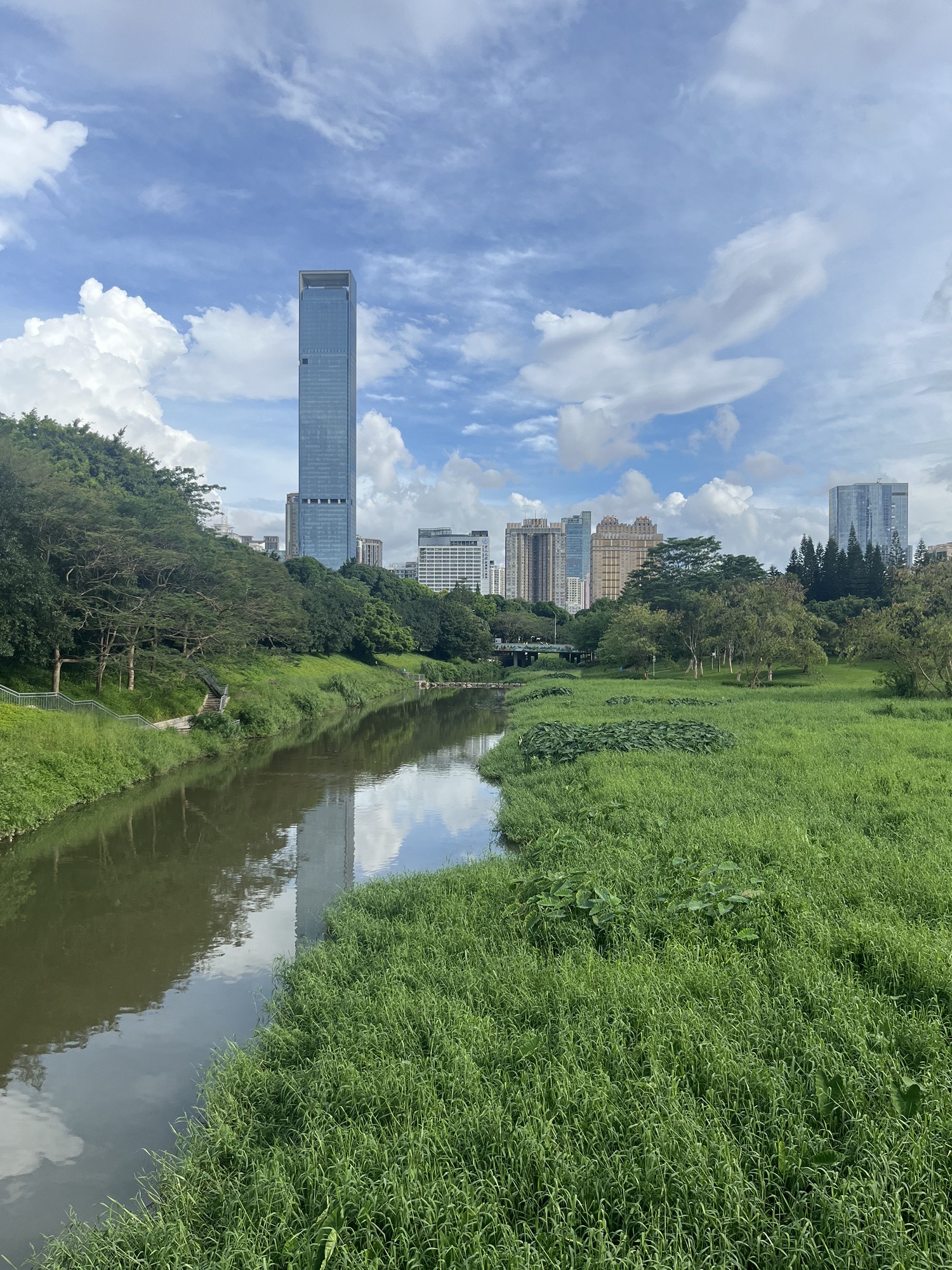 深圳中心公园D2区