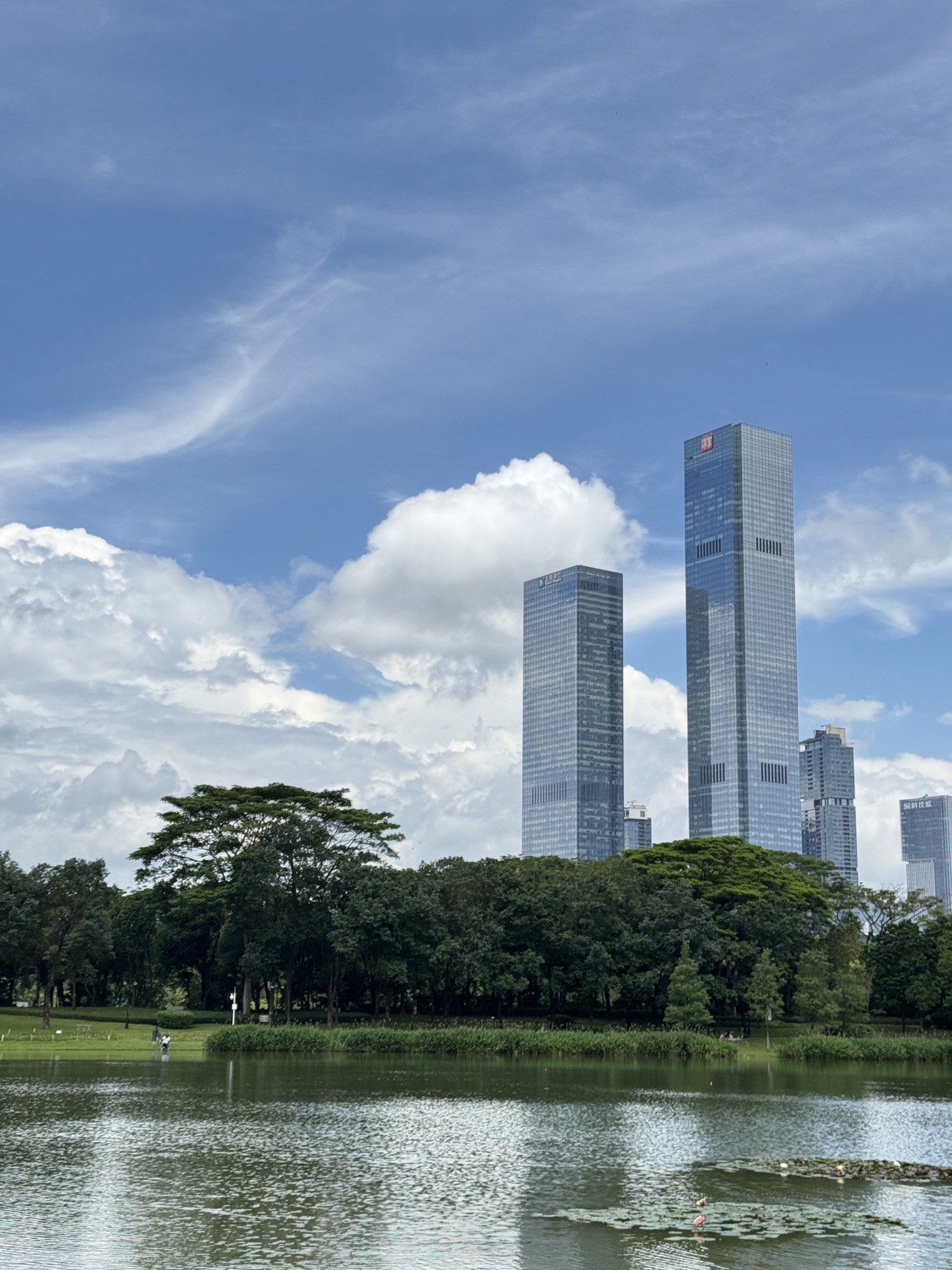 深圳中心公园D2区