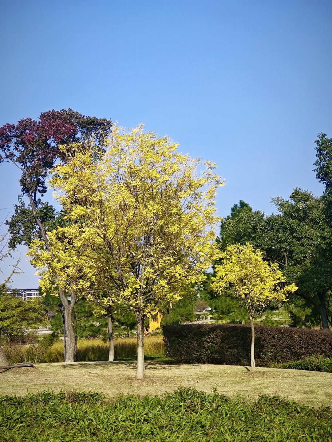 钱资湖湿地公园旅行图片 1