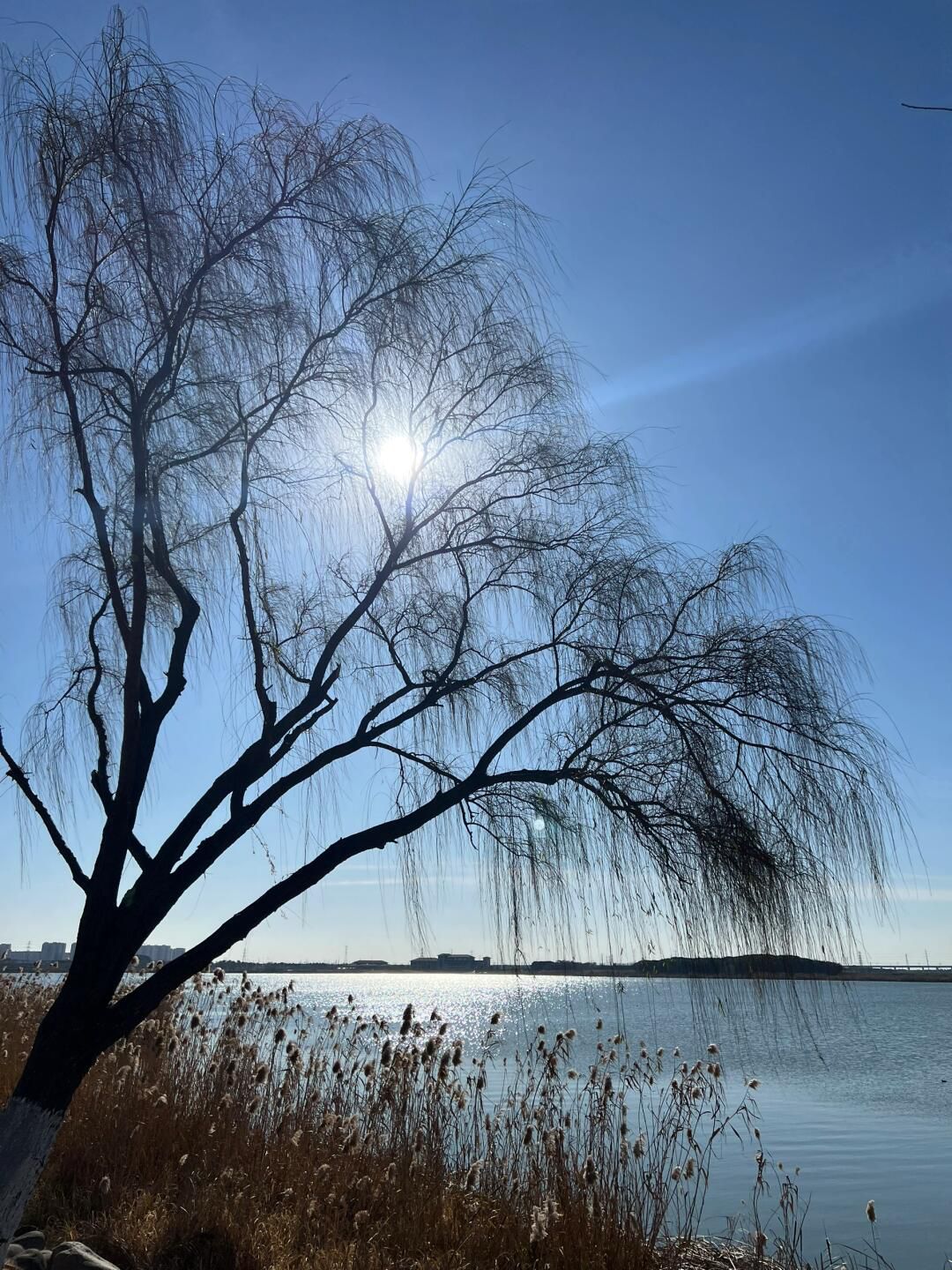 钱资湖湿地公园旅行图片 2