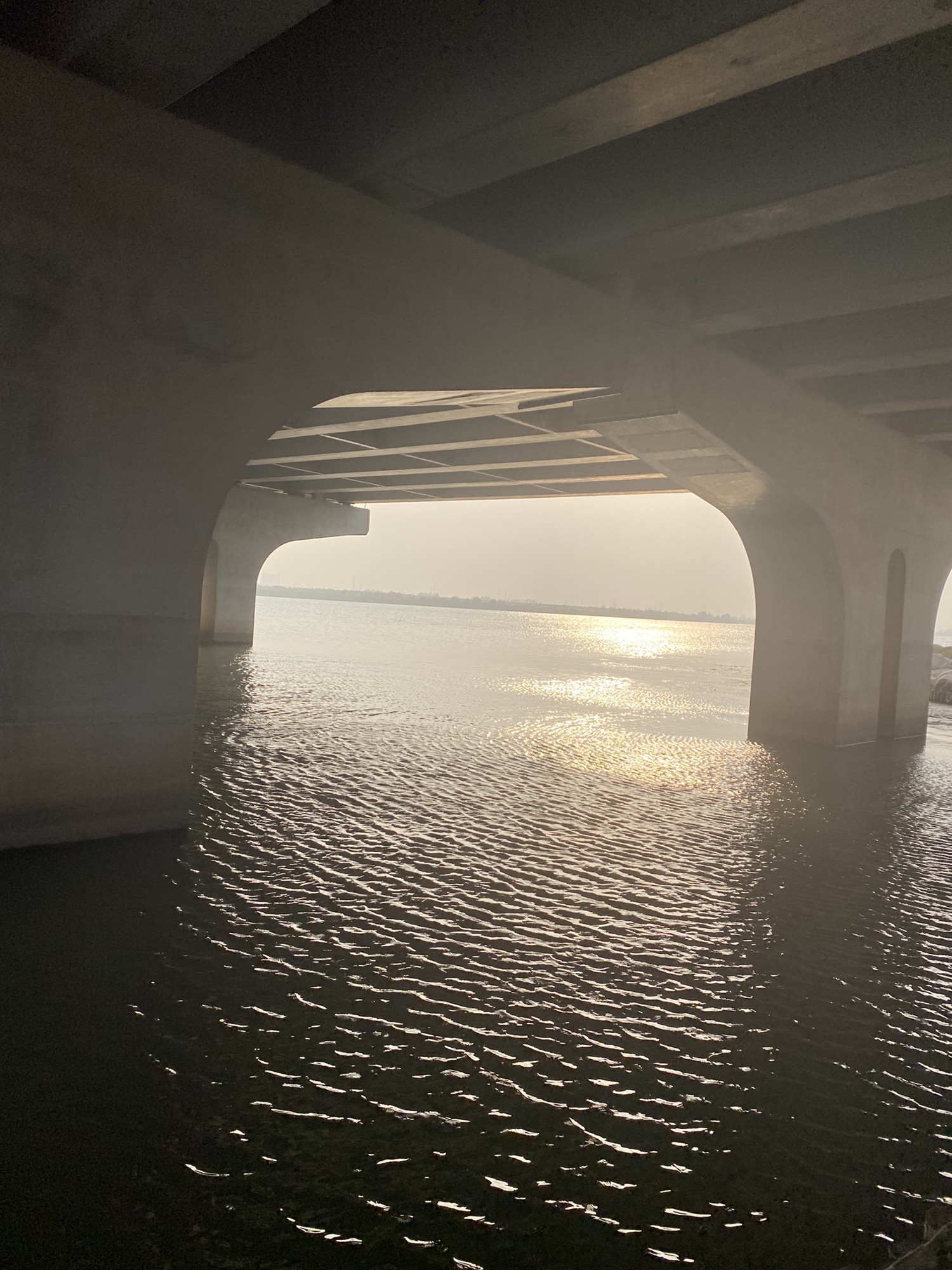 钱资湖湿地公园旅行图片 2
