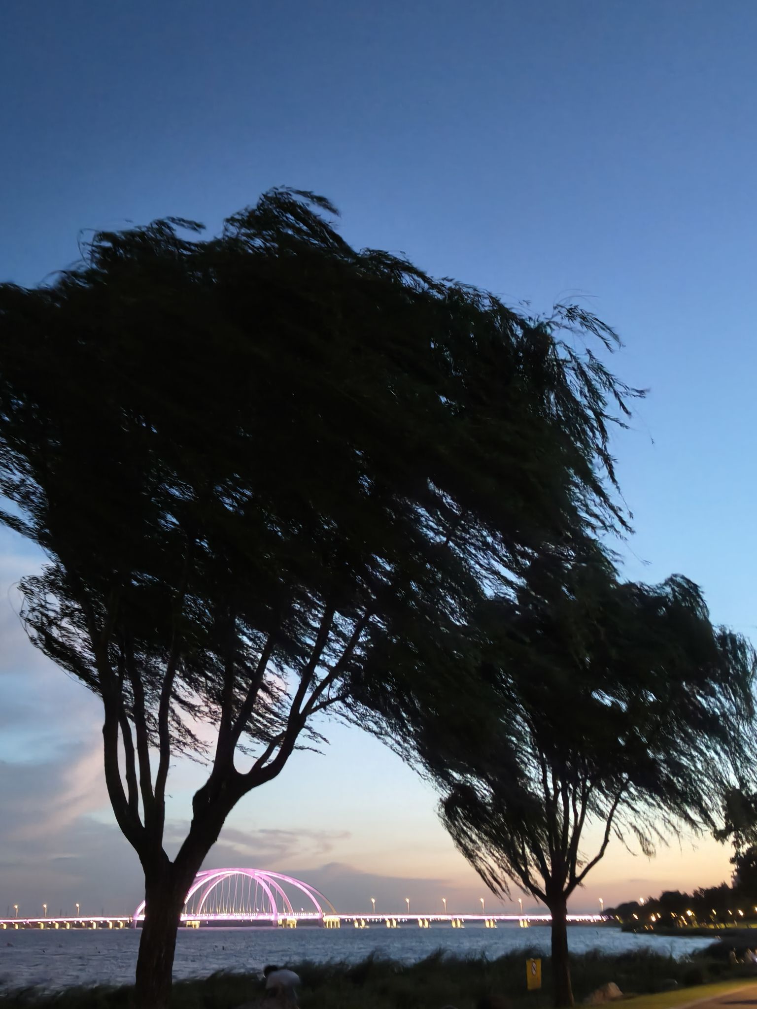 钱资湖湿地公园旅行图片 3