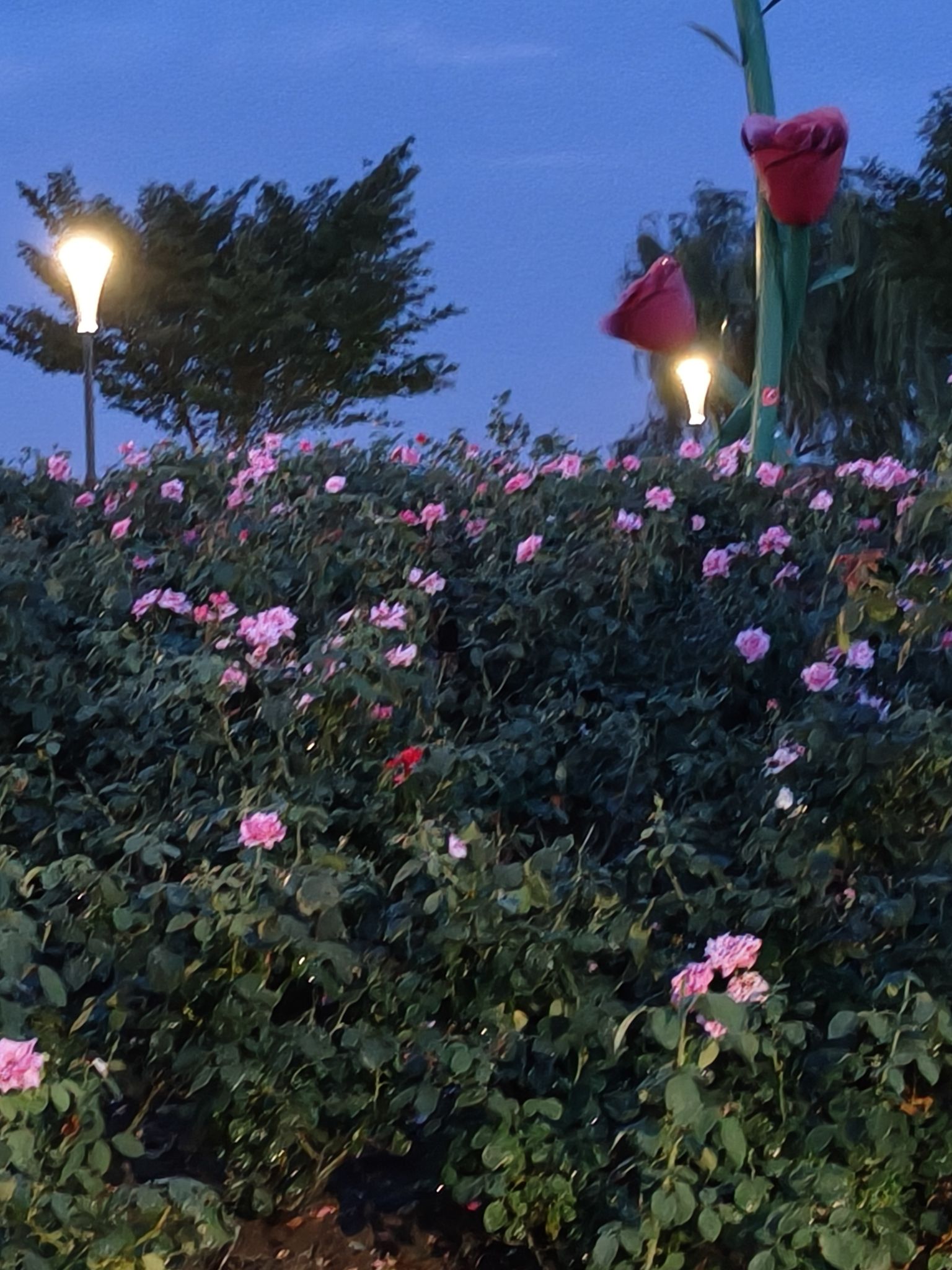 钱资湖湿地公园旅行图片 2