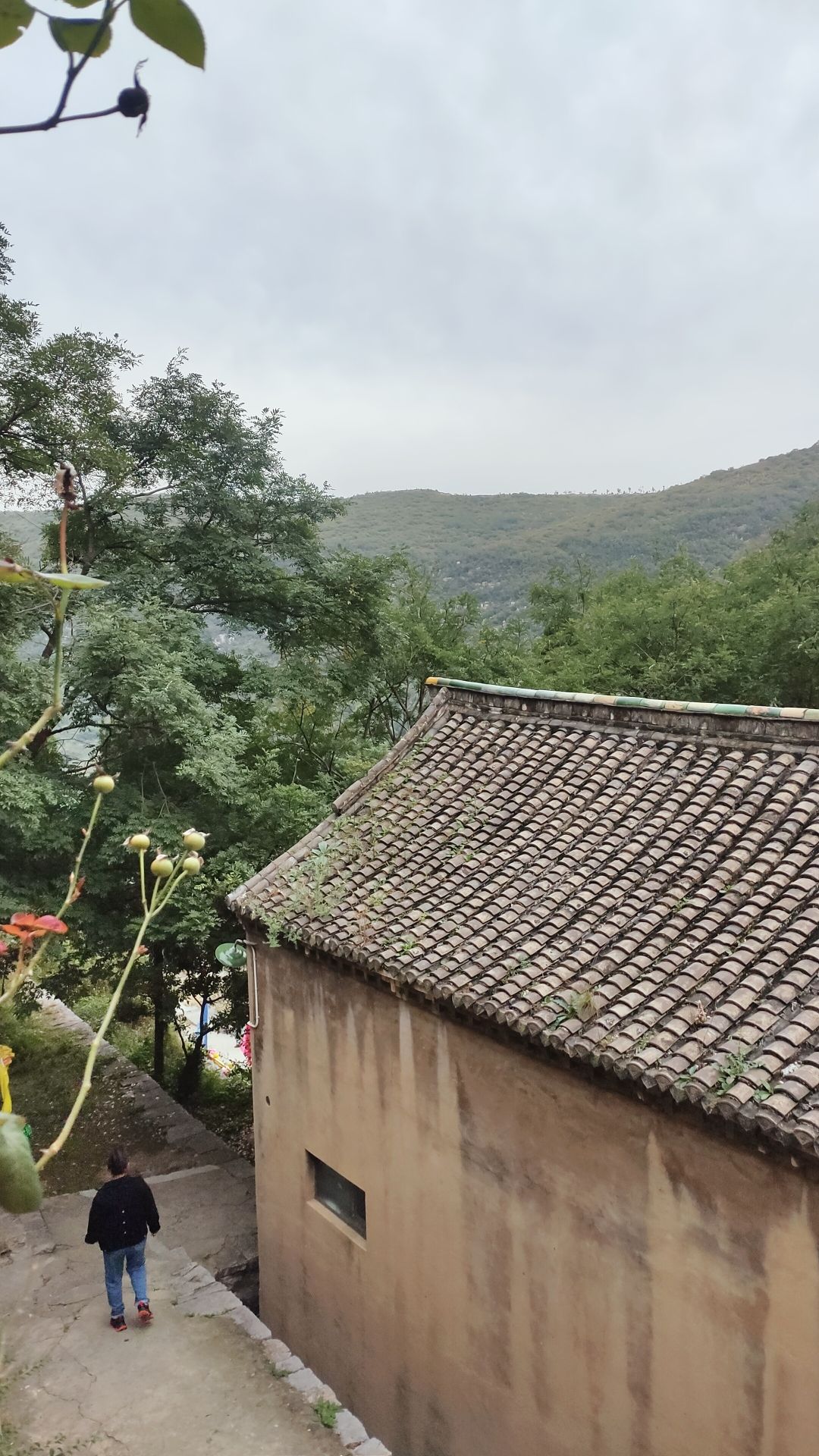 黄龙洞旅行图片 3