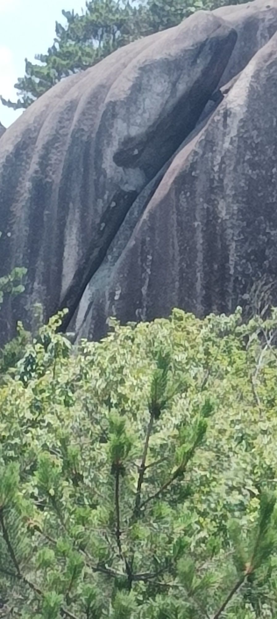 白岩洞景区旅行图片 1