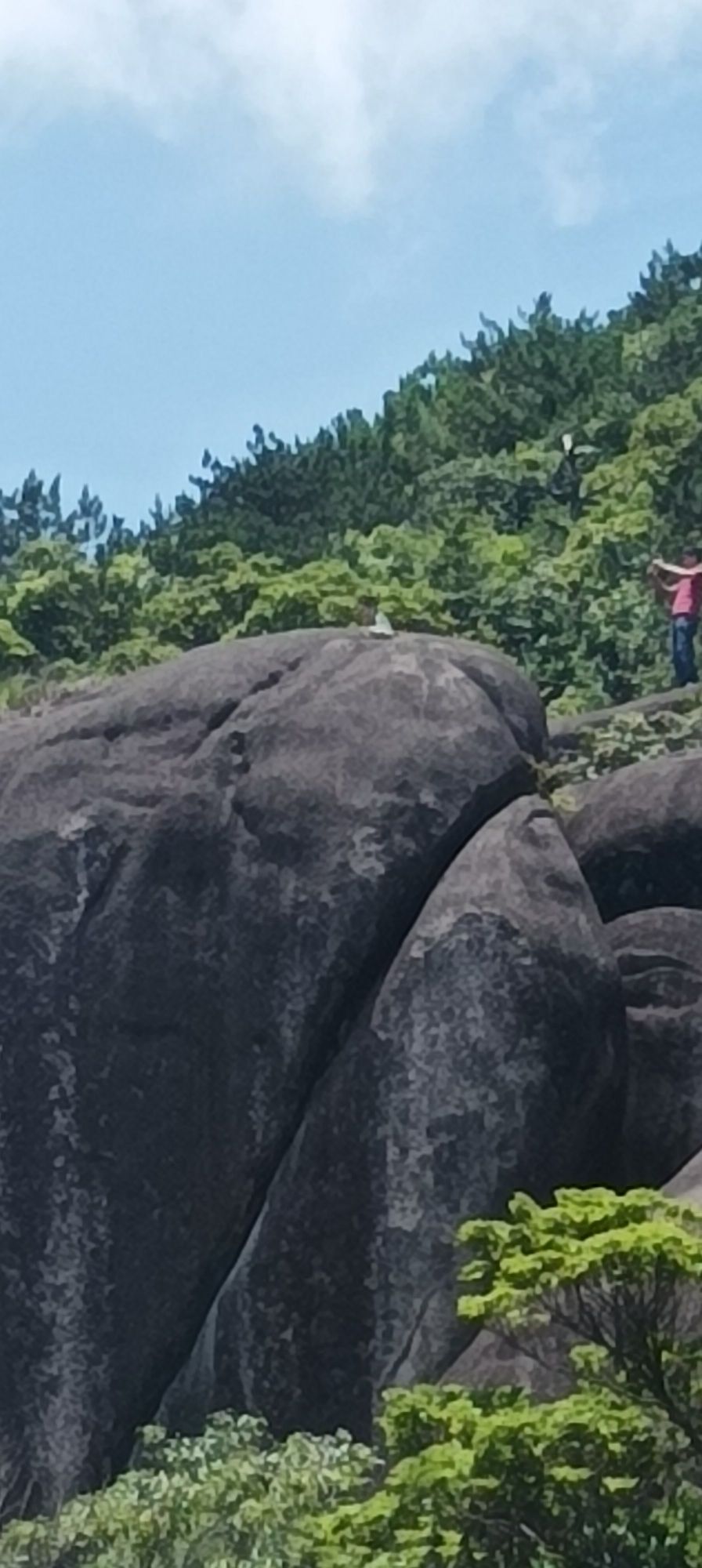 白岩洞景区旅行图片 2