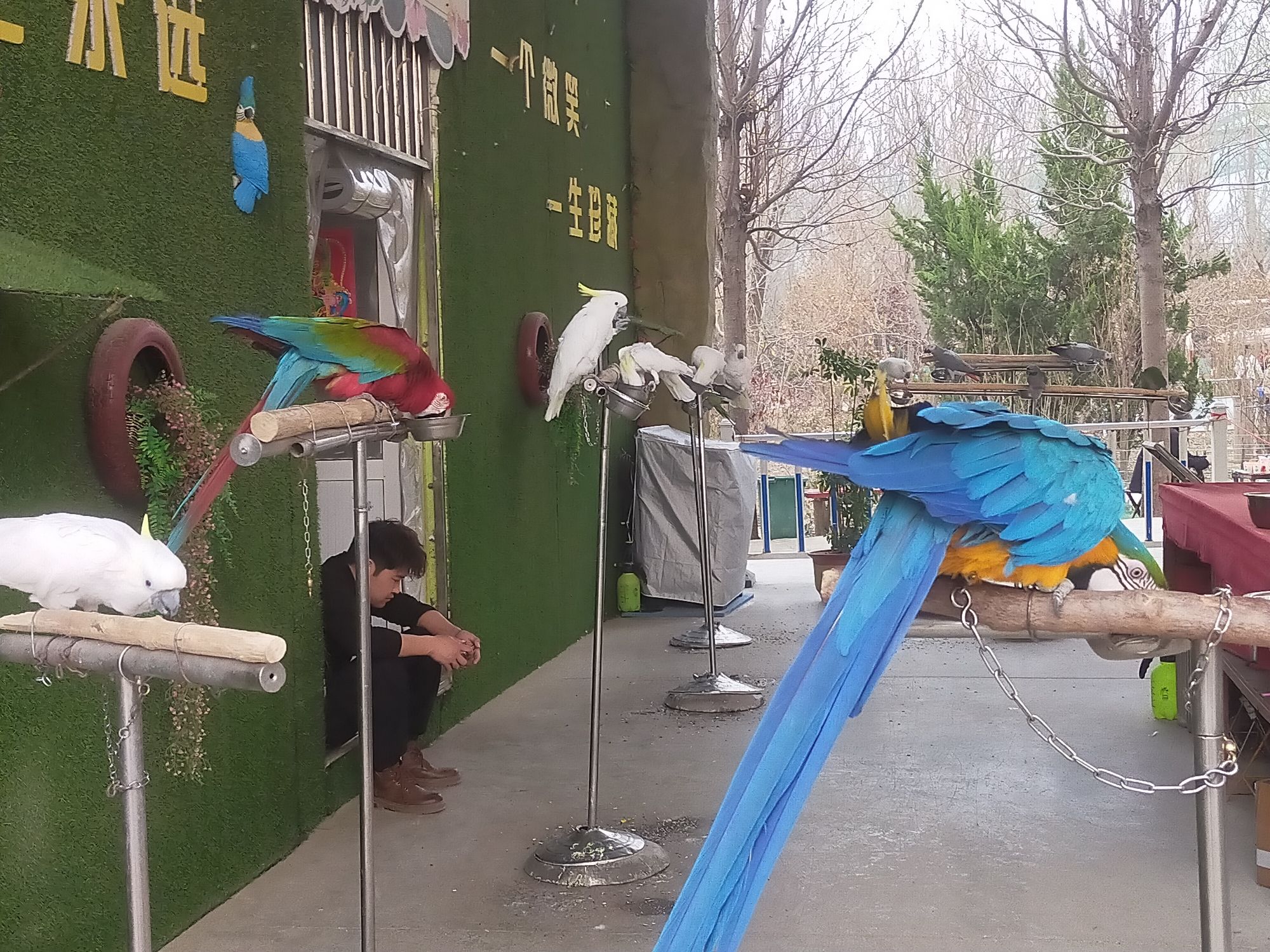 聊城滨河野生动物世界旅行图片 2