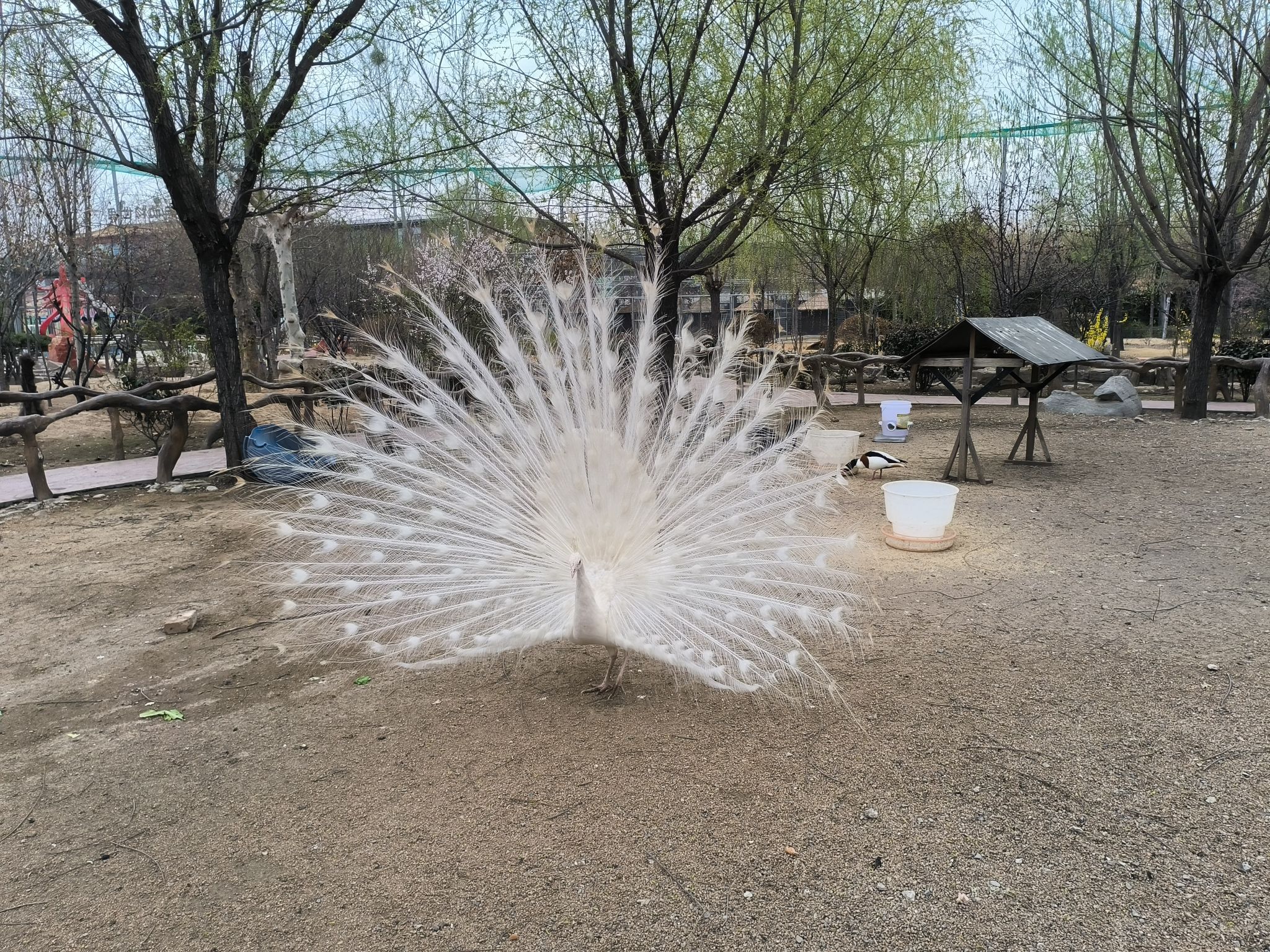 聊城滨河野生动物世界旅行图片 2