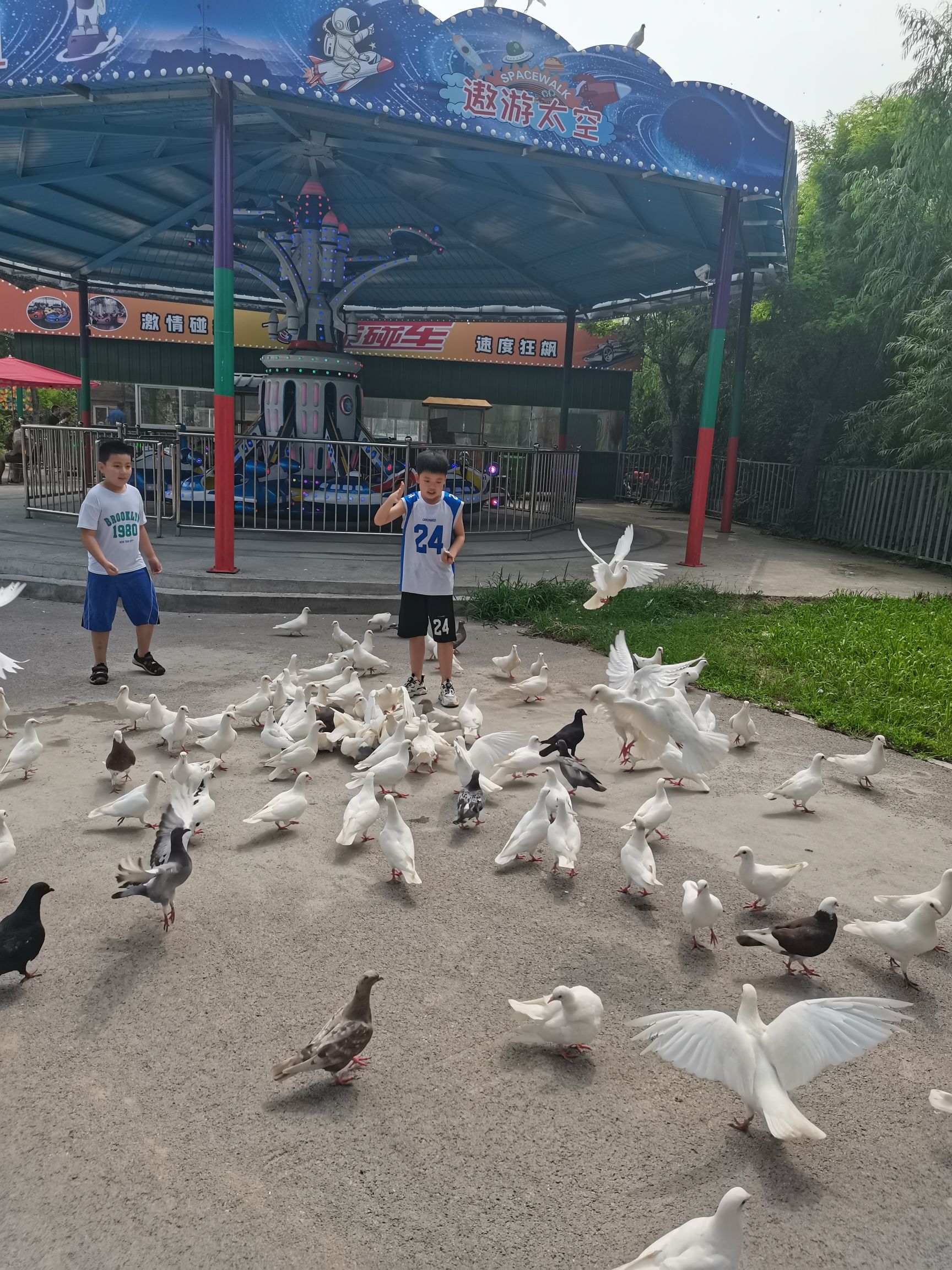 聊城滨河野生动物世界旅行图片 2