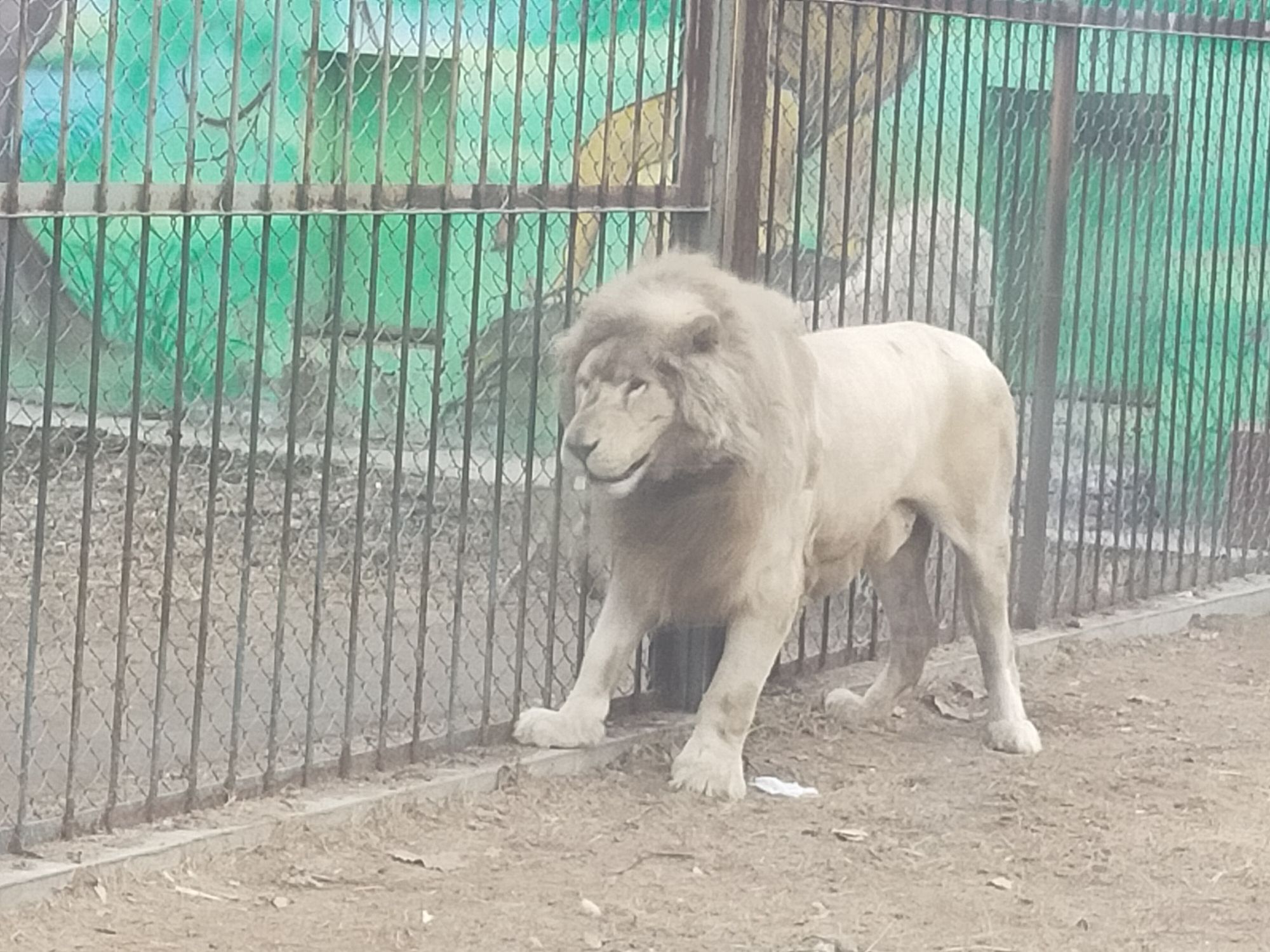 聊城滨河野生动物世界旅行图片 1