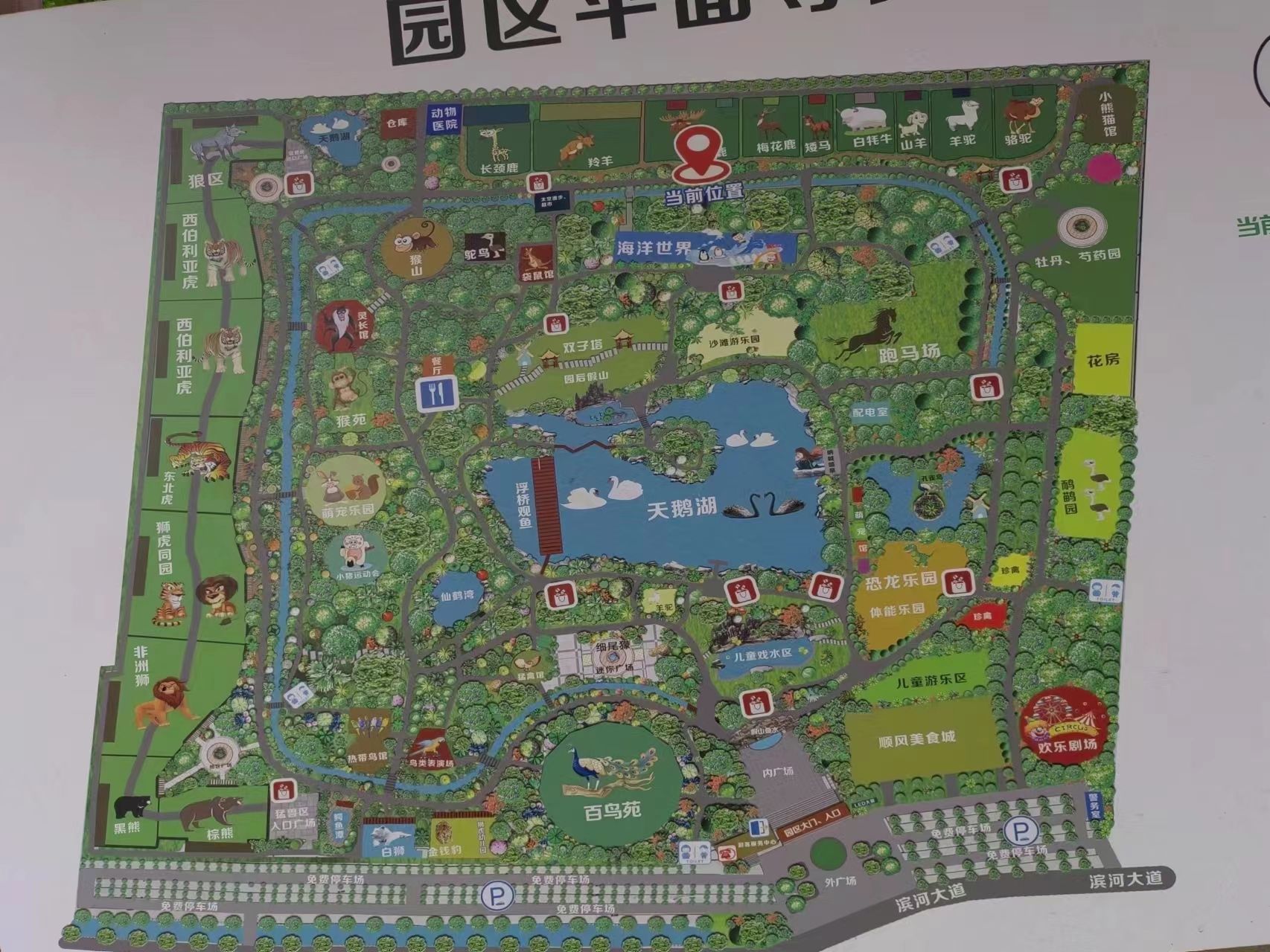 聊城滨河野生动物世界旅行图片 1