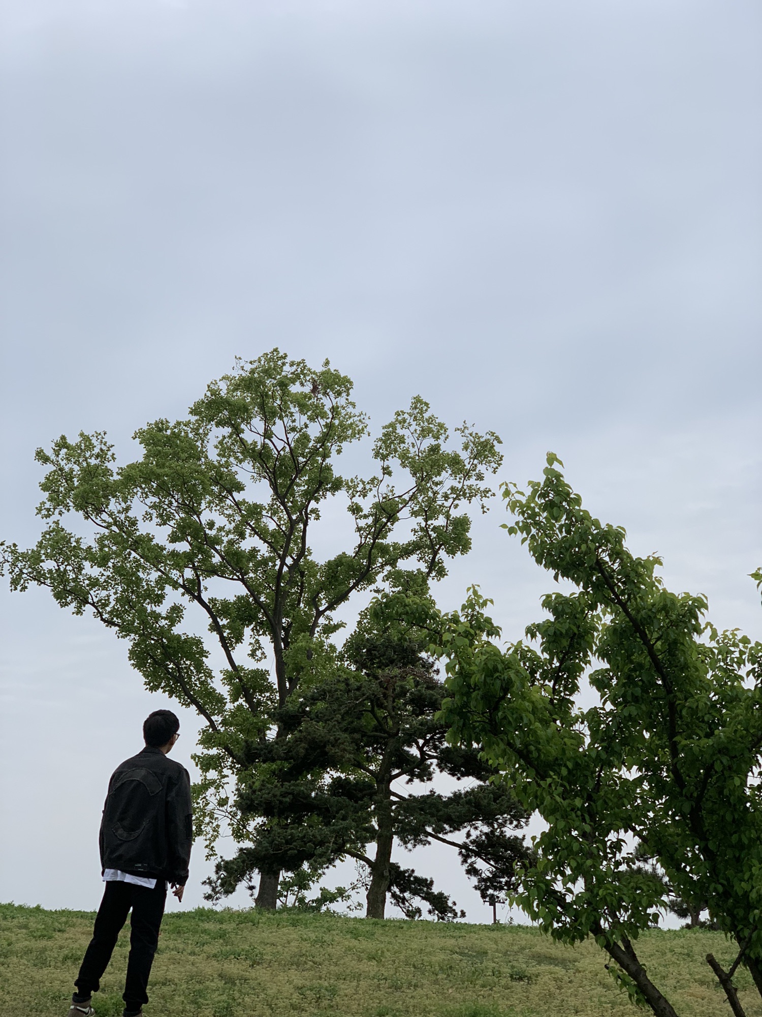 扬子津古韵里旅行图片 2