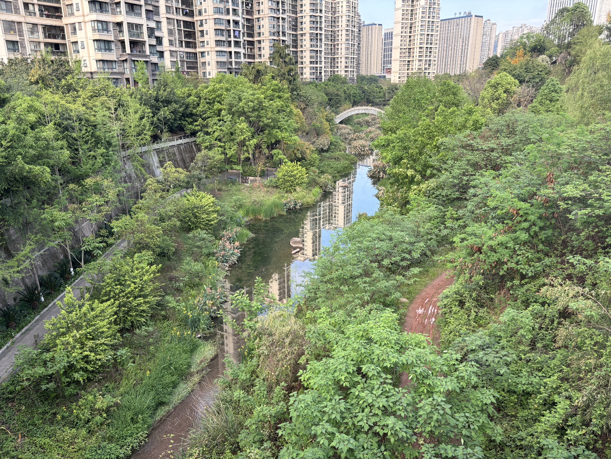 栖凤公园旅行图片 3