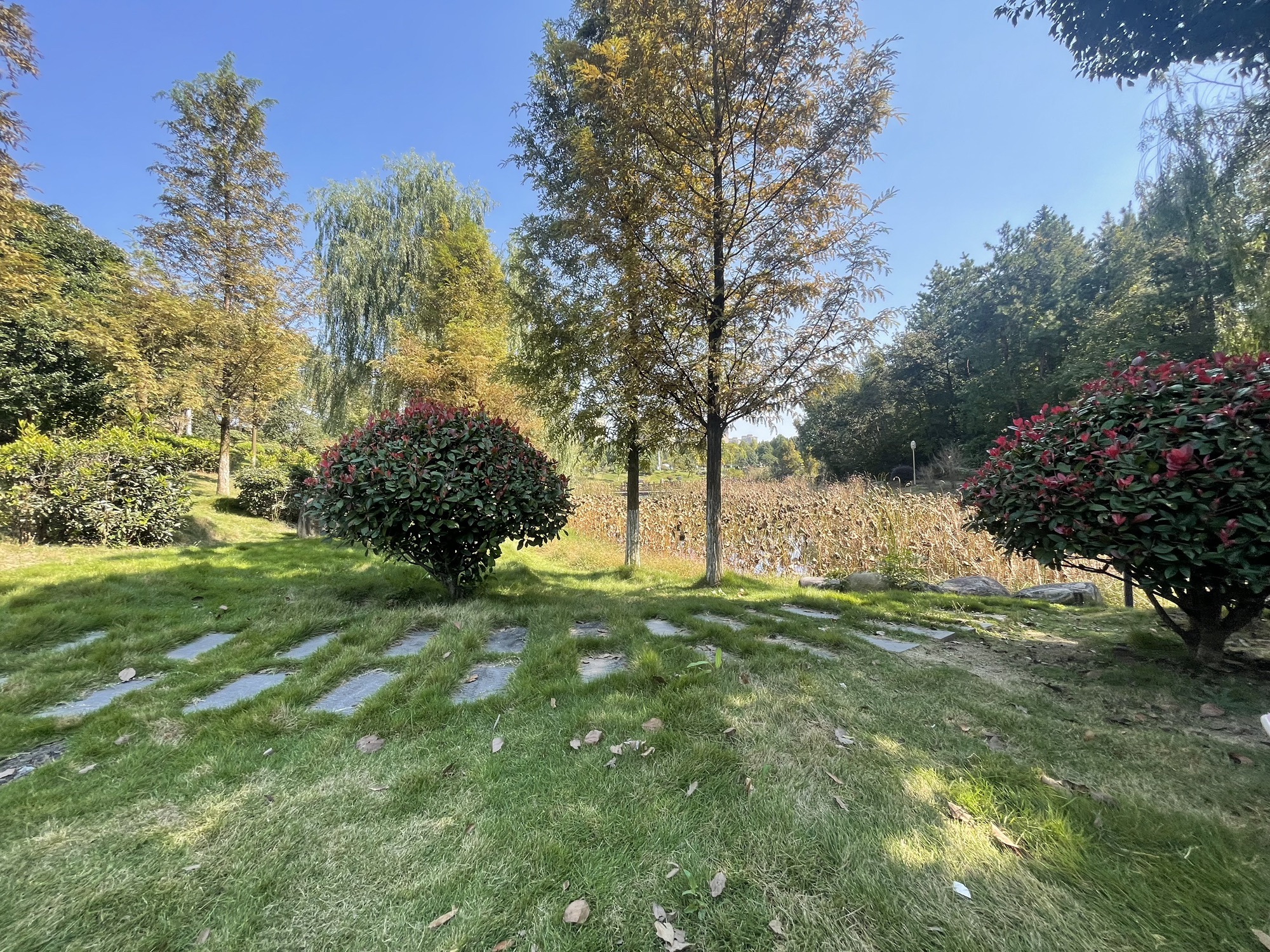 文峰公园旅行图片 3