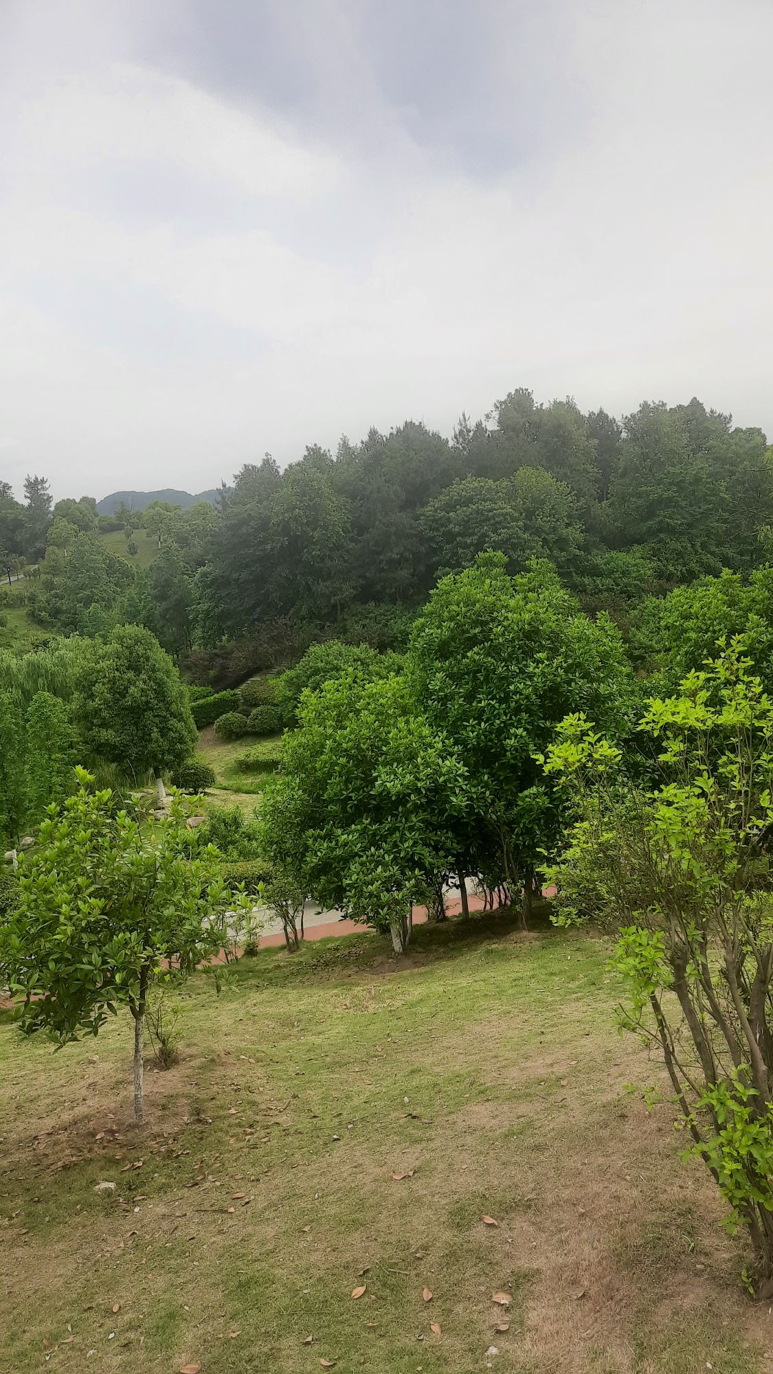 文峰公园旅行图片 3