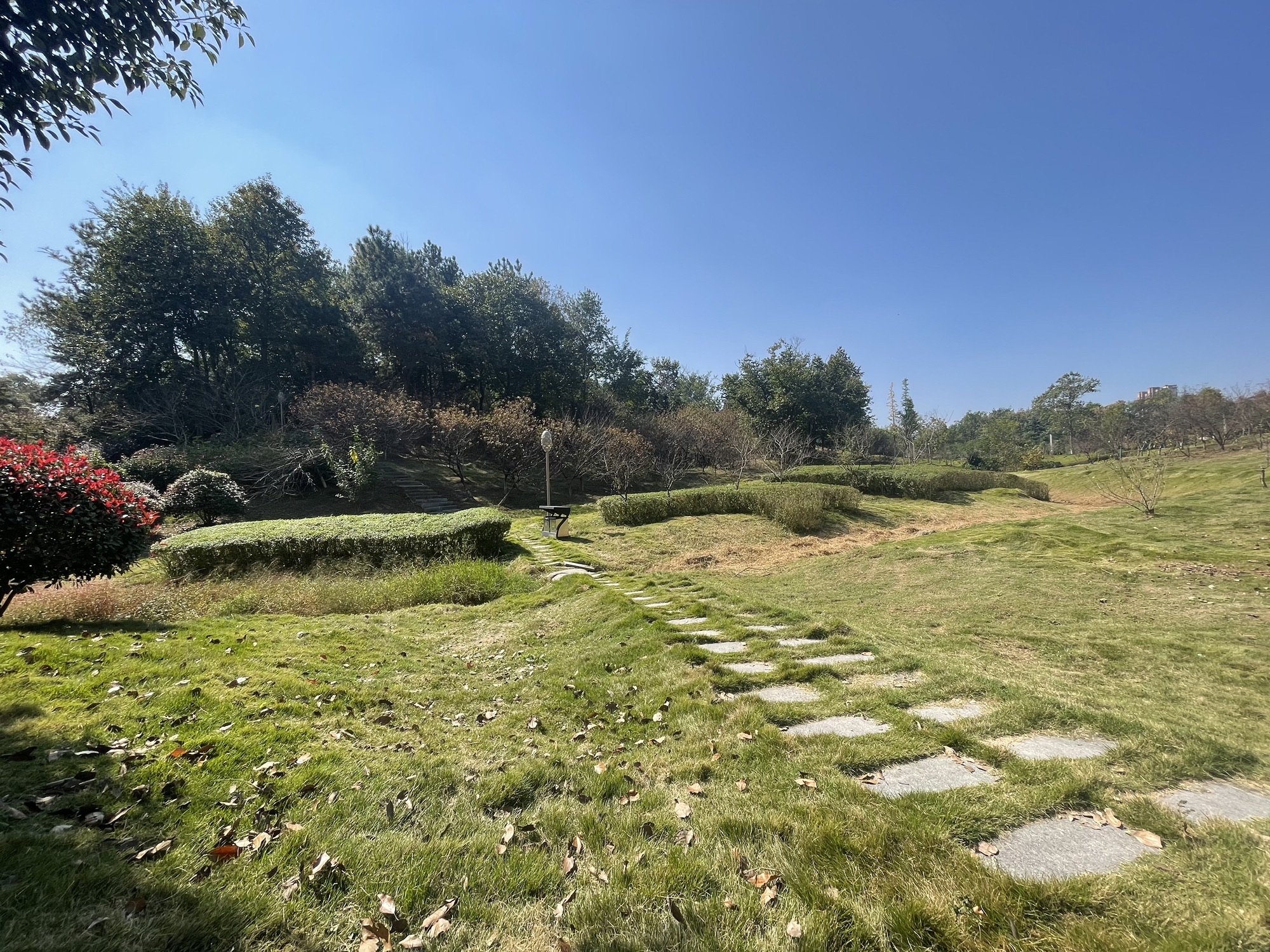 文峰公园旅行图片 1