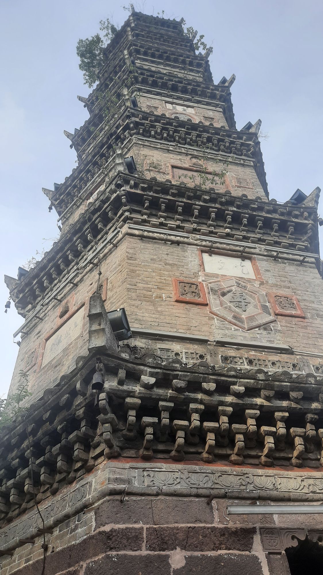 文峰公园旅行图片 1