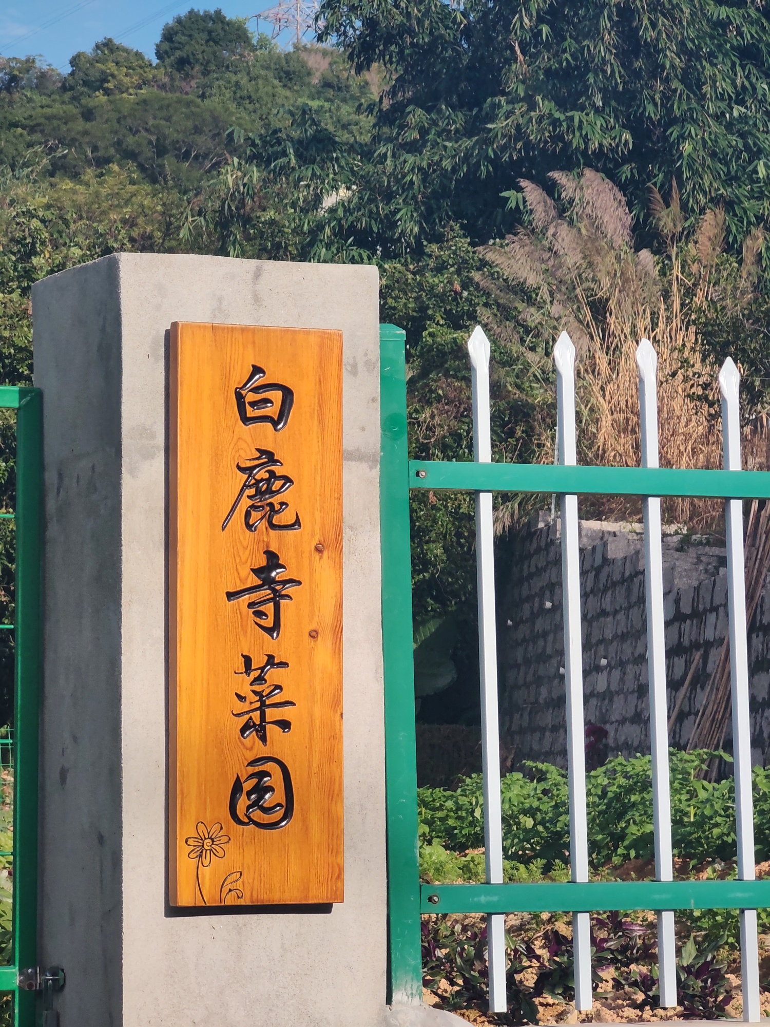 白鹿禅寺实景照片
