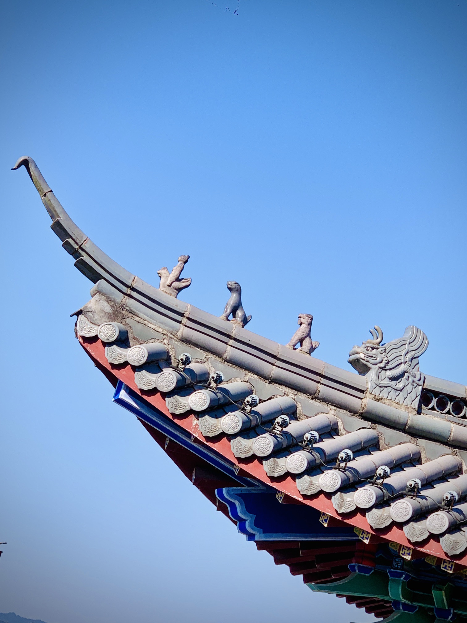 卓望山森林公园旅行图片 2