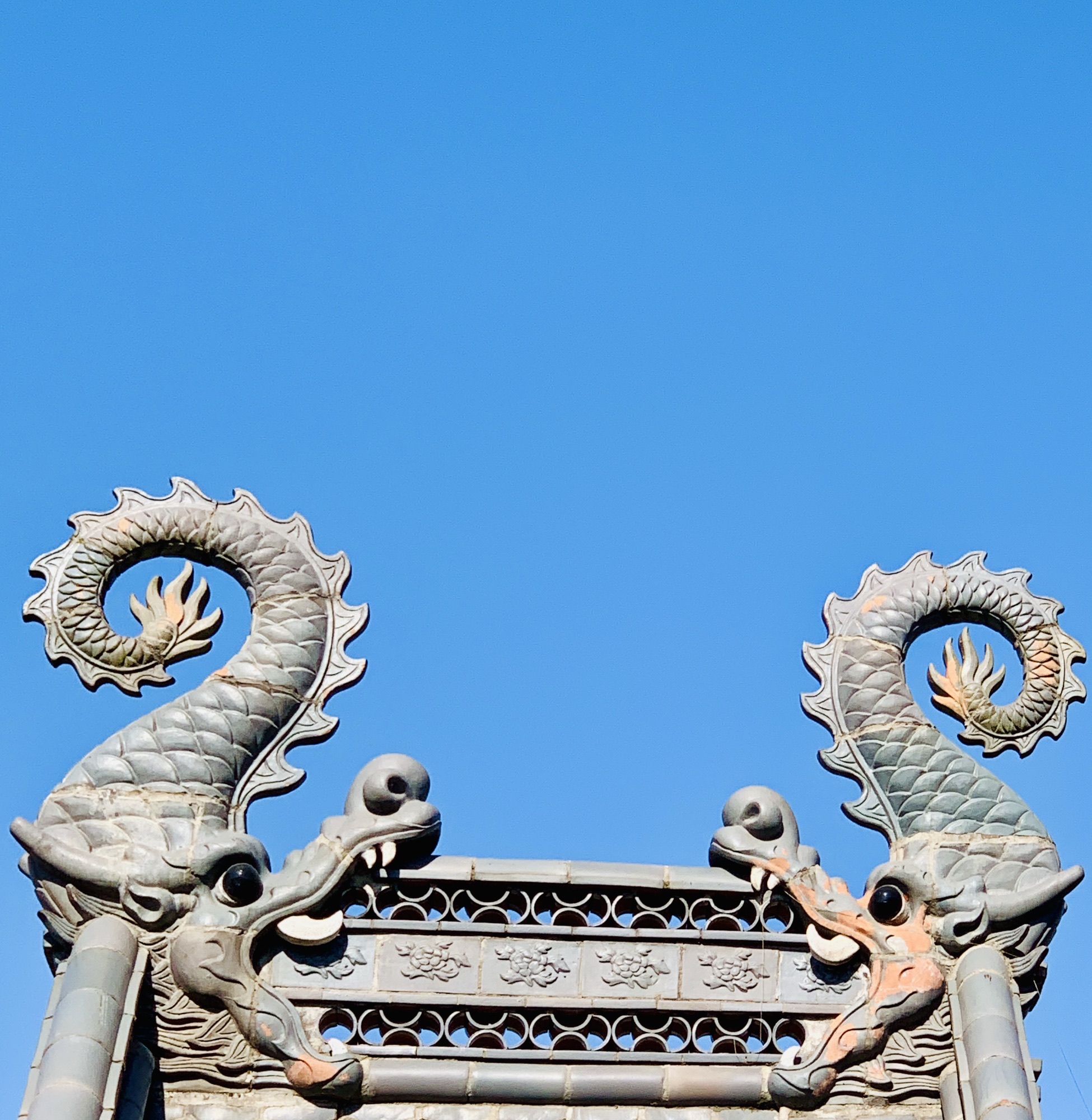 卓望山森林公园旅行图片 3