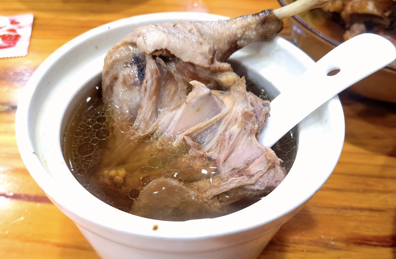 鸽子汤