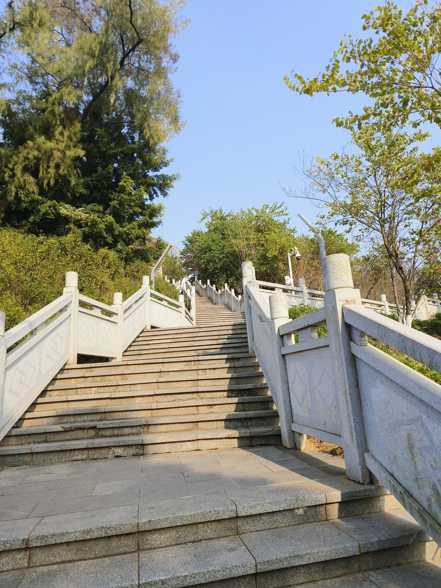 天成塔旅行图片 2