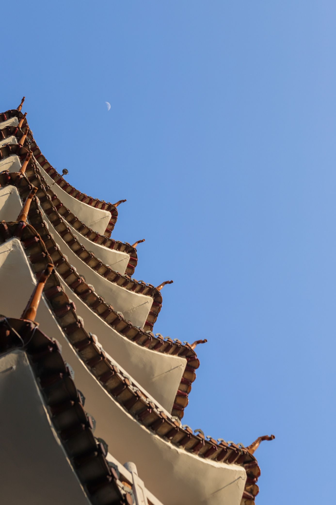 天成塔旅行图片 1