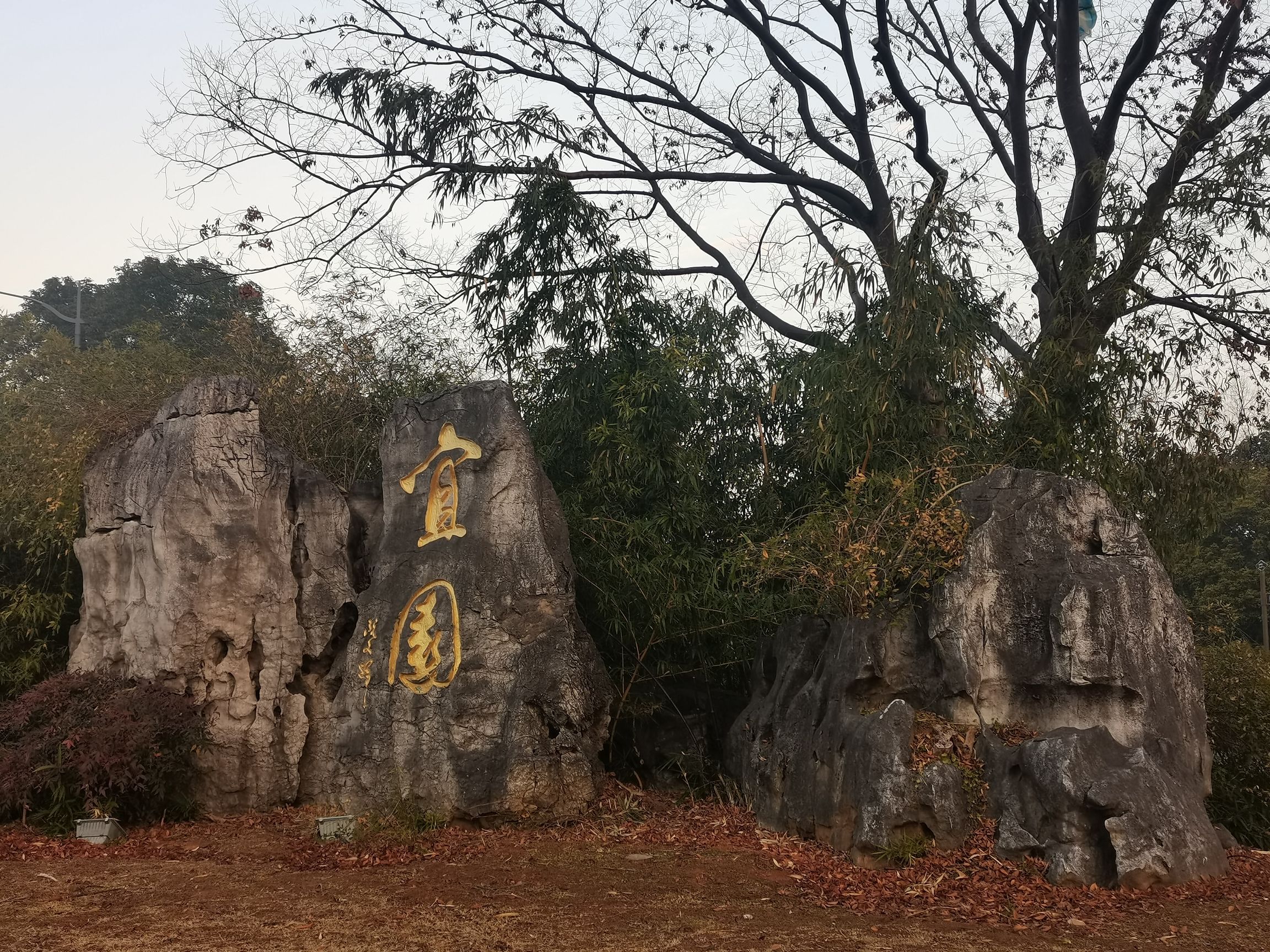 宜园旅行图片 1