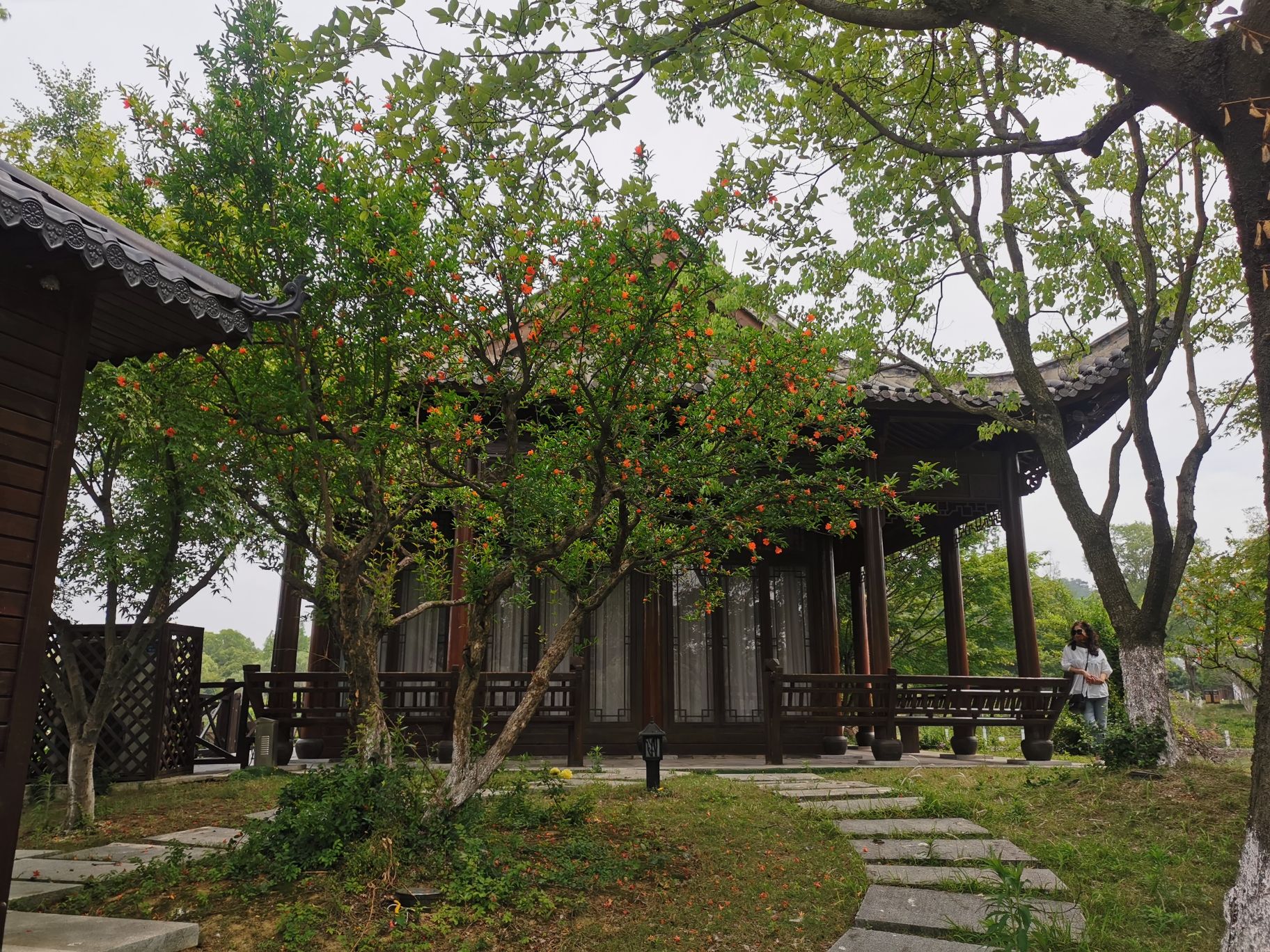 宜园旅行图片 1