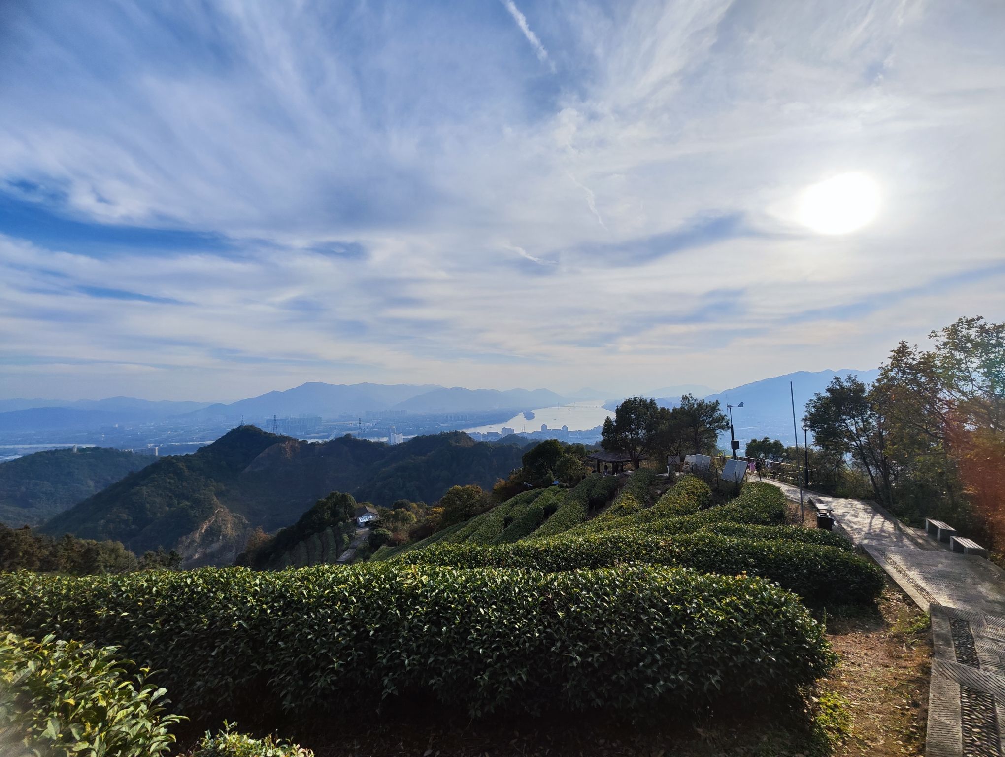 富阳区城市森林公园旅行图片 2