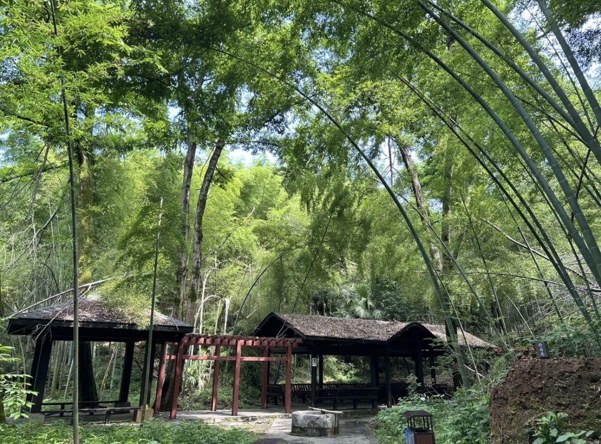 富阳区城市森林公园旅行图片 2