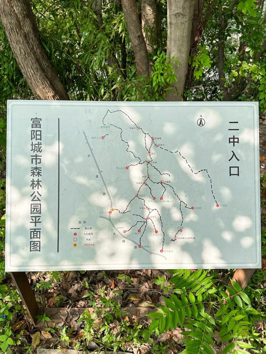 富阳区城市森林公园旅行图片 2