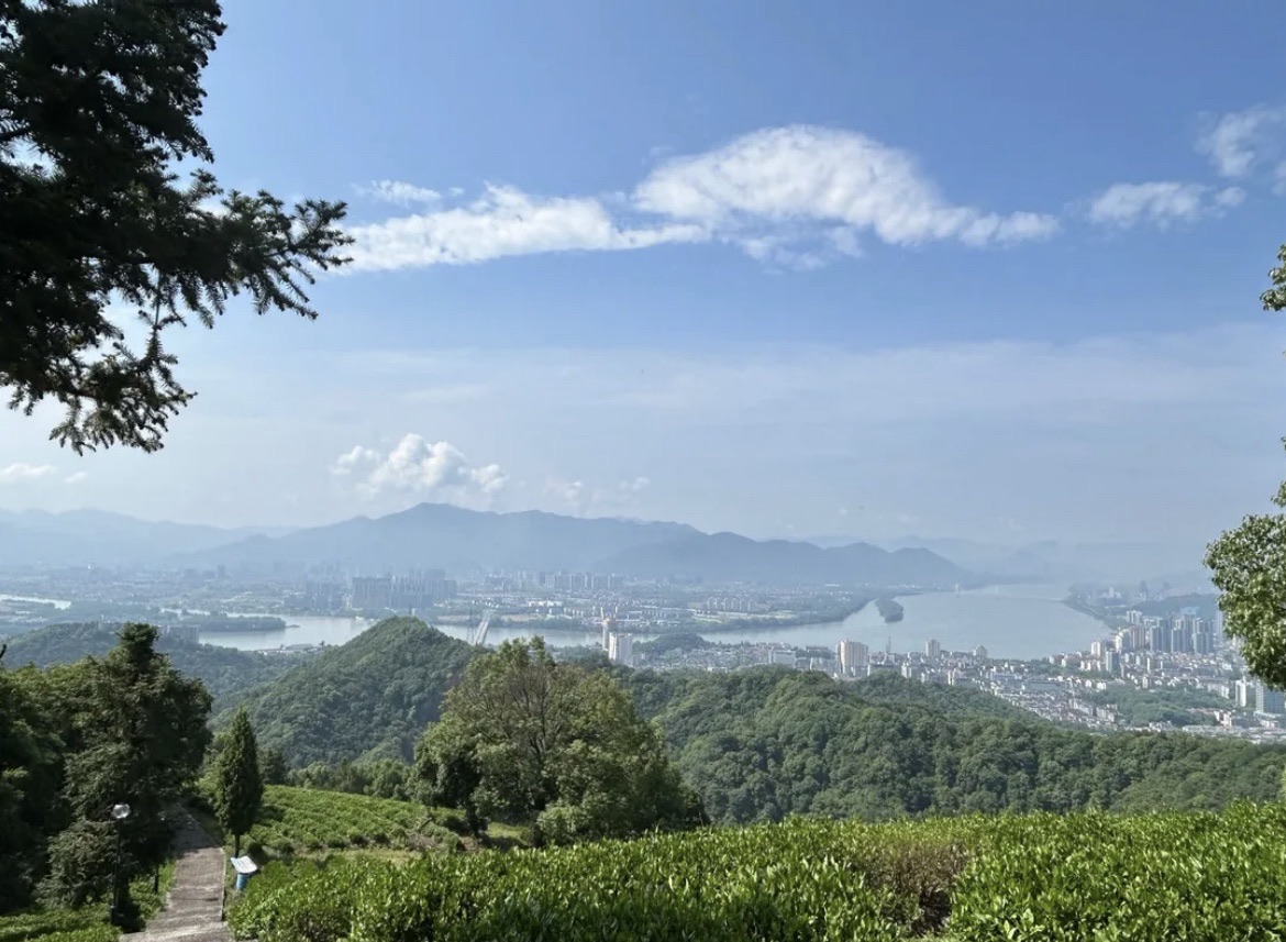 富阳区城市森林公园旅行图片 3