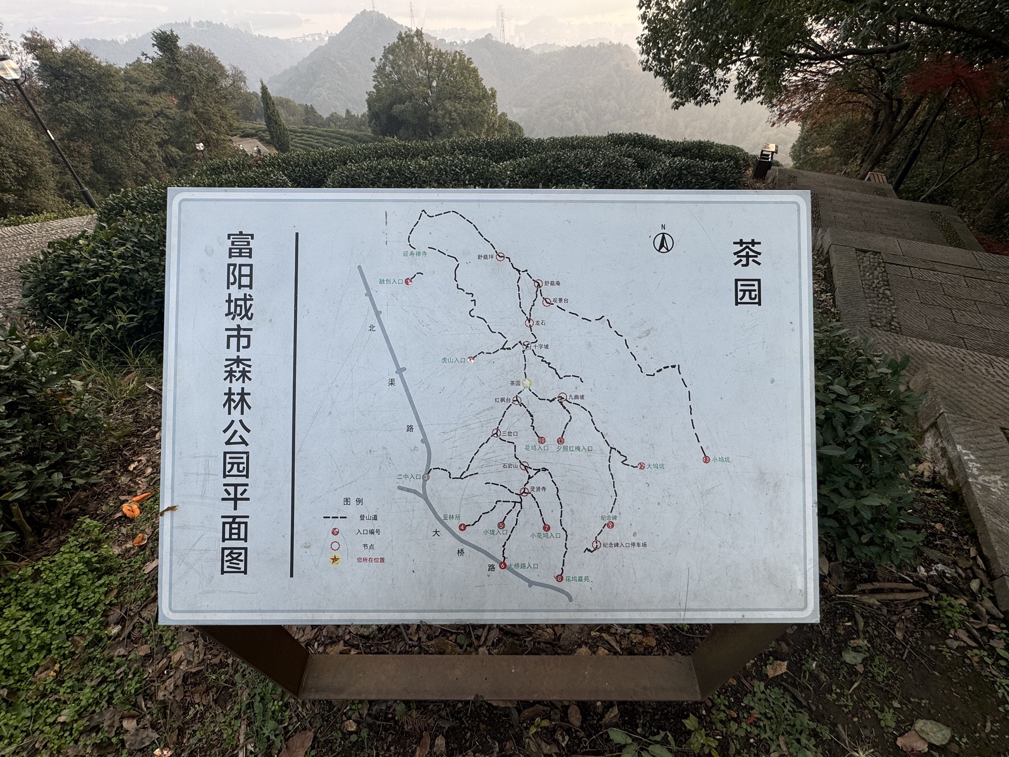 富阳区城市森林公园旅行图片 3