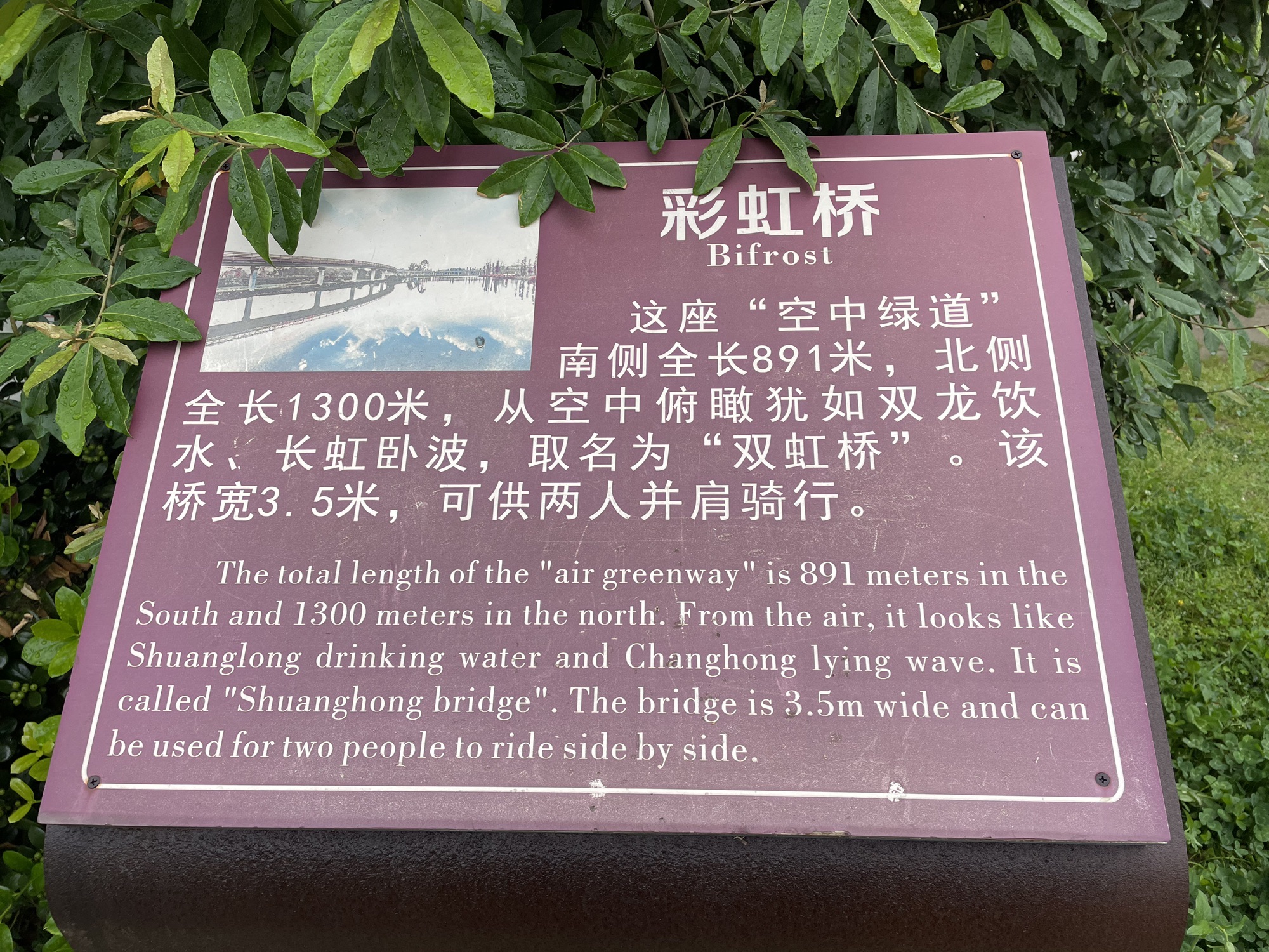 徐堰河湿地公园旅行图片 3