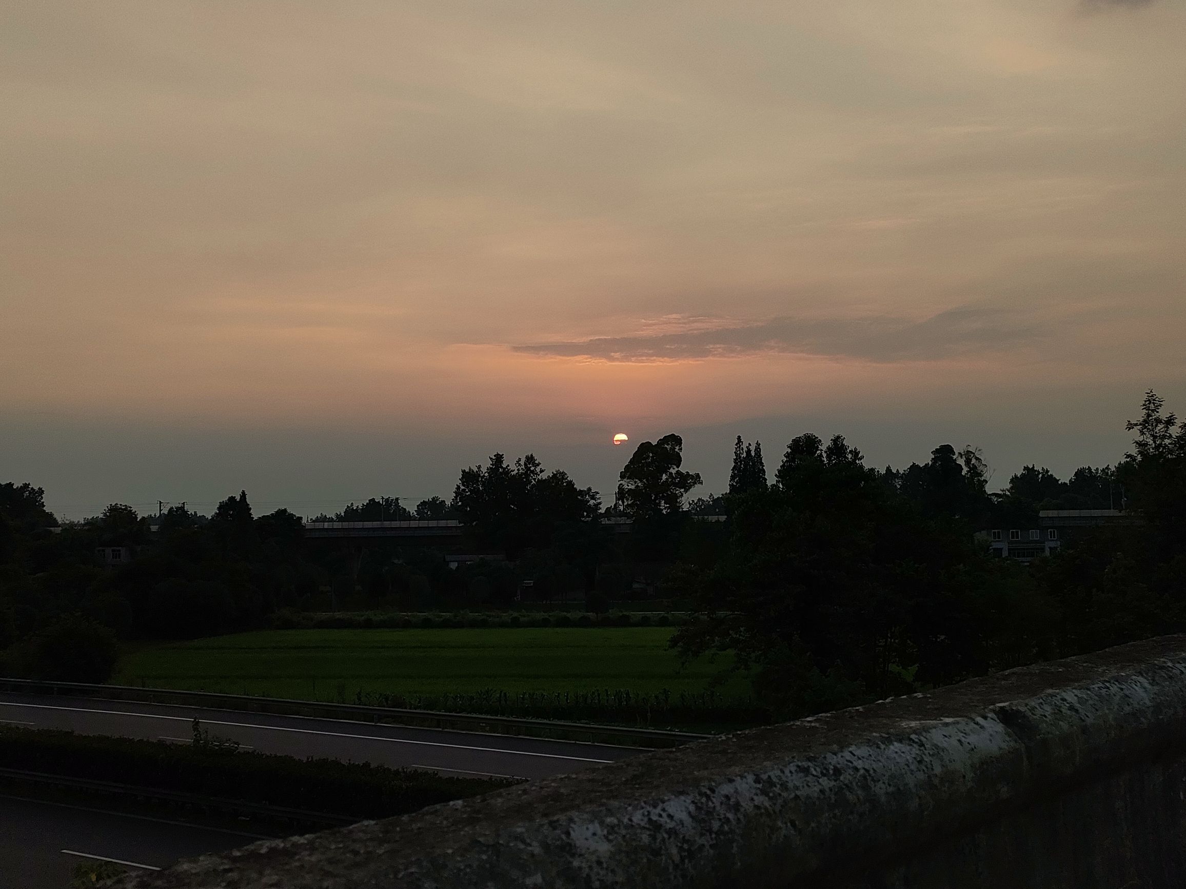 徐堰河湿地公园旅行图片 3