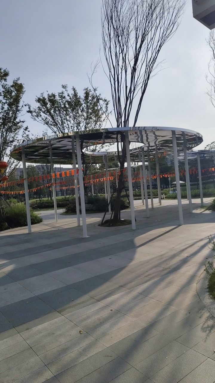 金虹桥公园旅行图片 2
