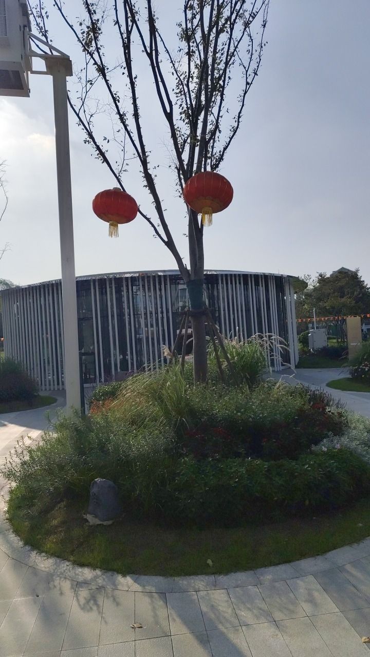 金虹桥公园旅行图片 3