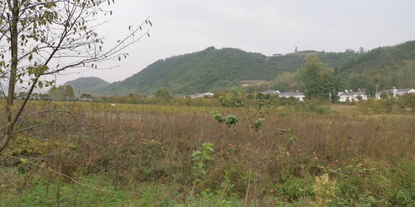 古麇梦幻谷旅行图片 1