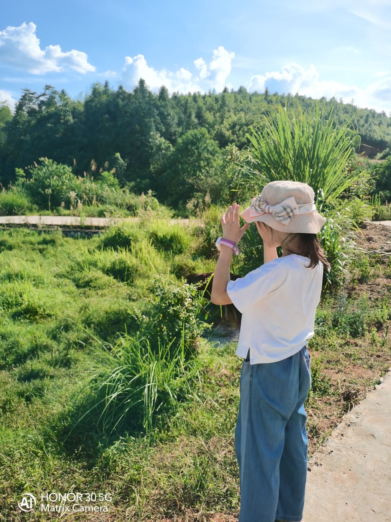 哎马乐园旅行图片 3