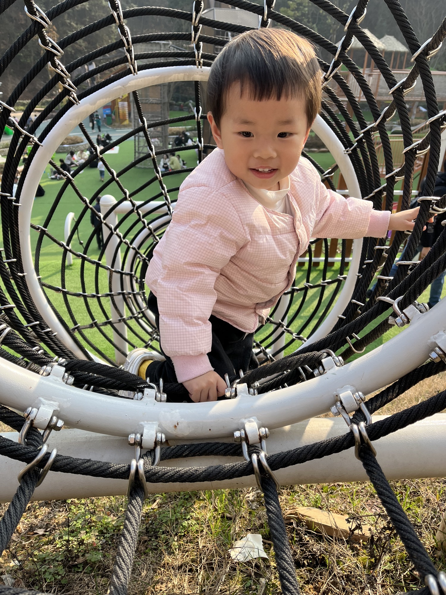 哎马乐园旅行图片 2