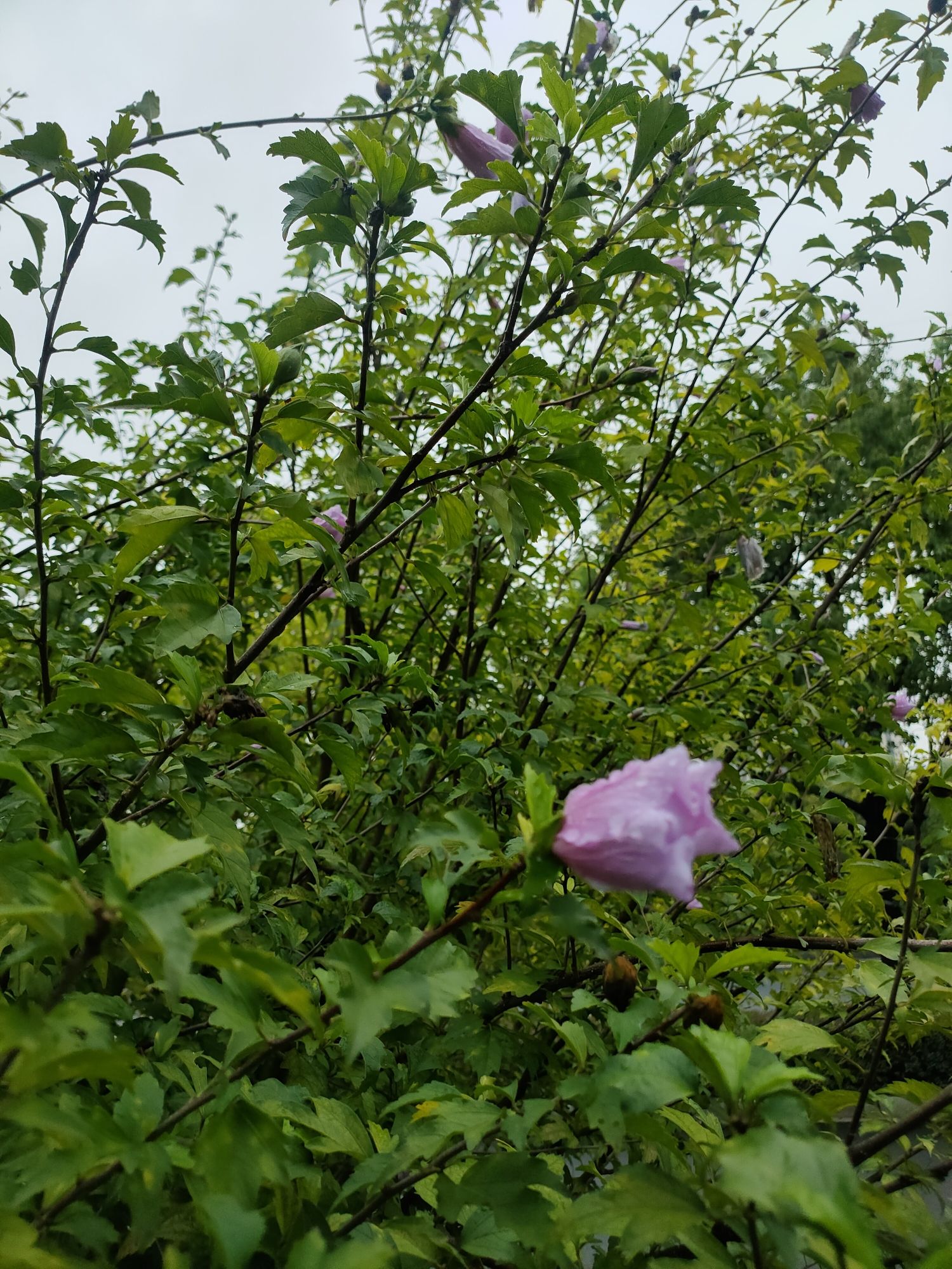 沧海公园旅行图片 2