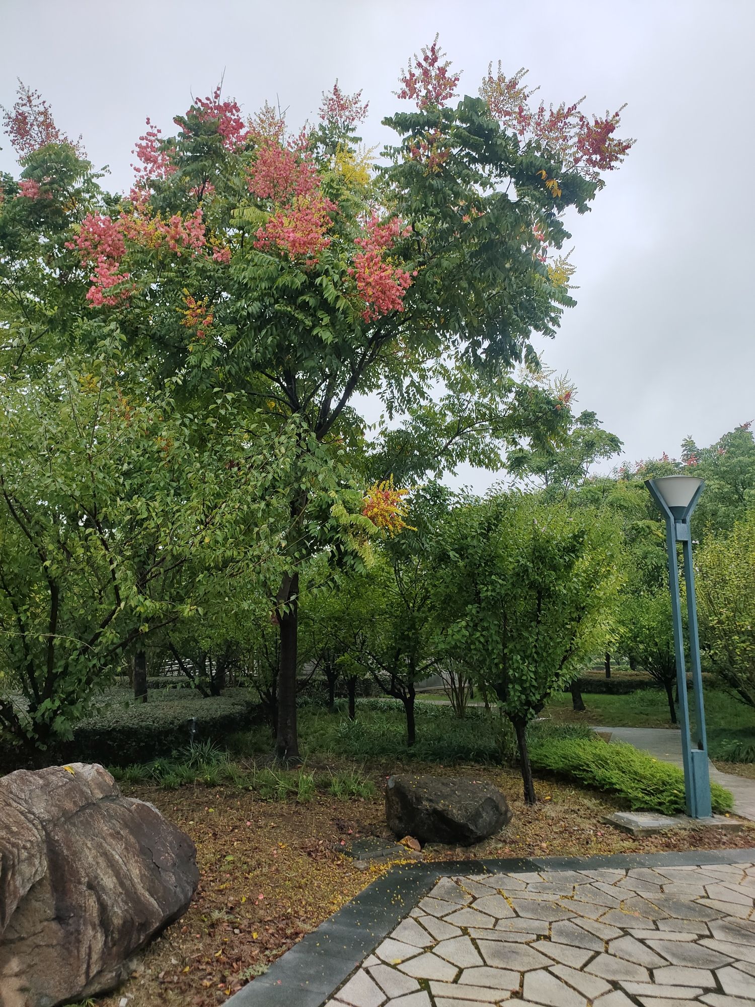 沧海公园旅行图片 3