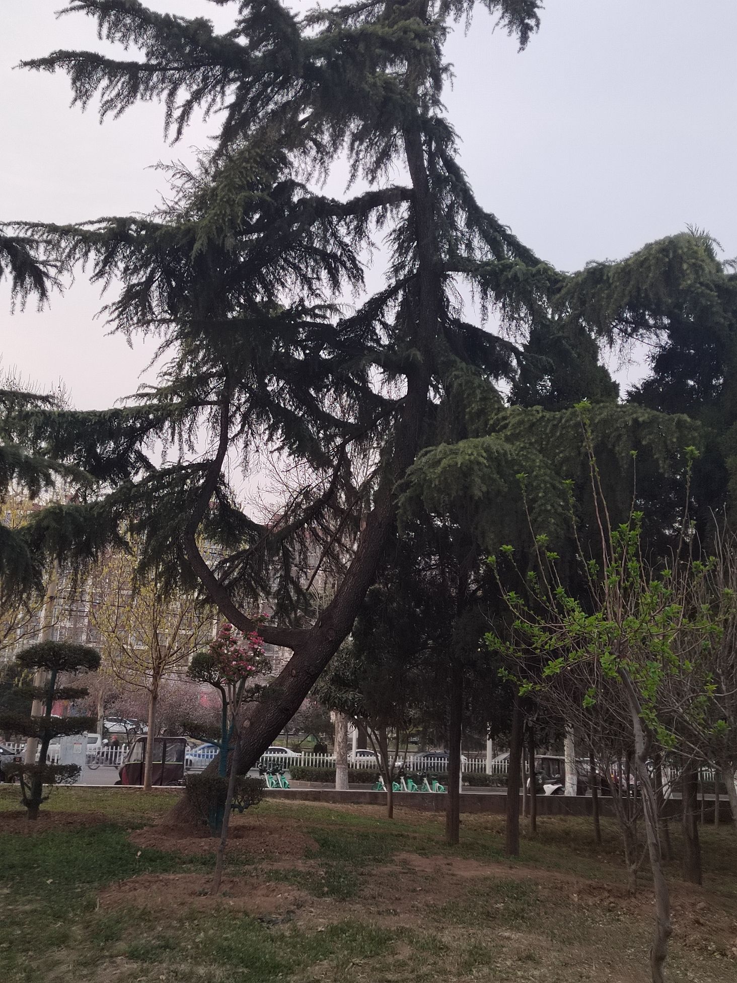 五孔桥游园旅行图片 1