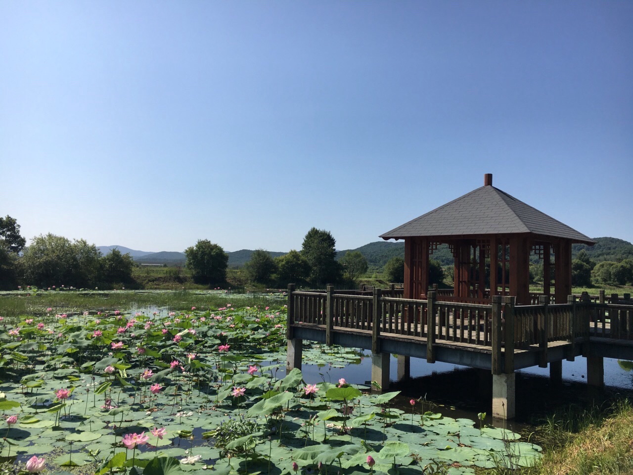 大石头亚光湖国家湿地公园