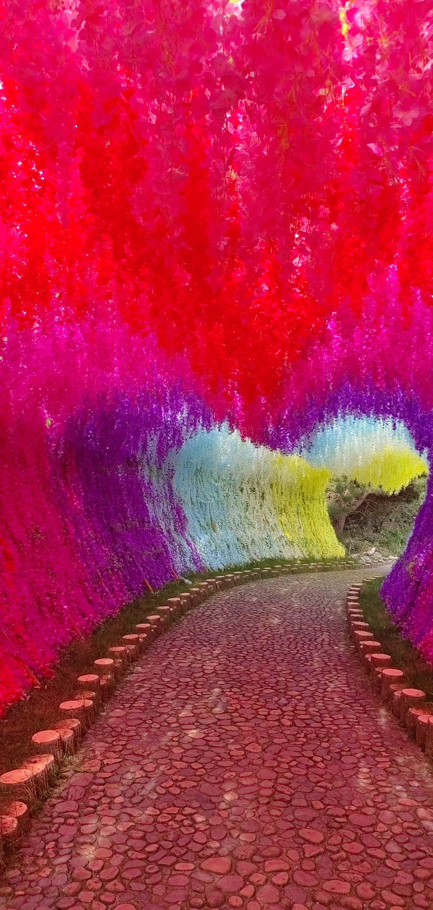 青龙峡景区峰林峡旅行图片 3