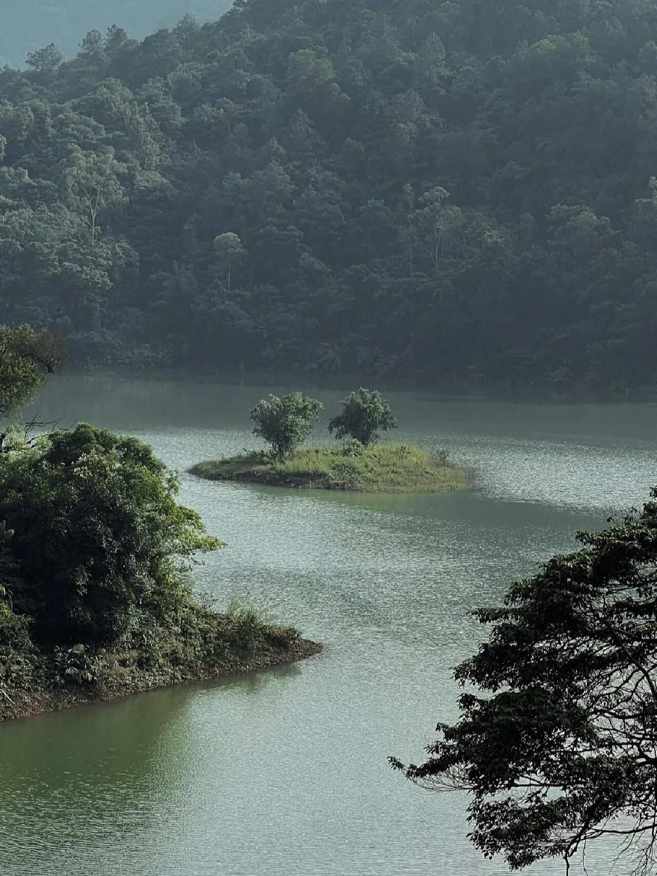 大南山森林公园旅行图片 3
