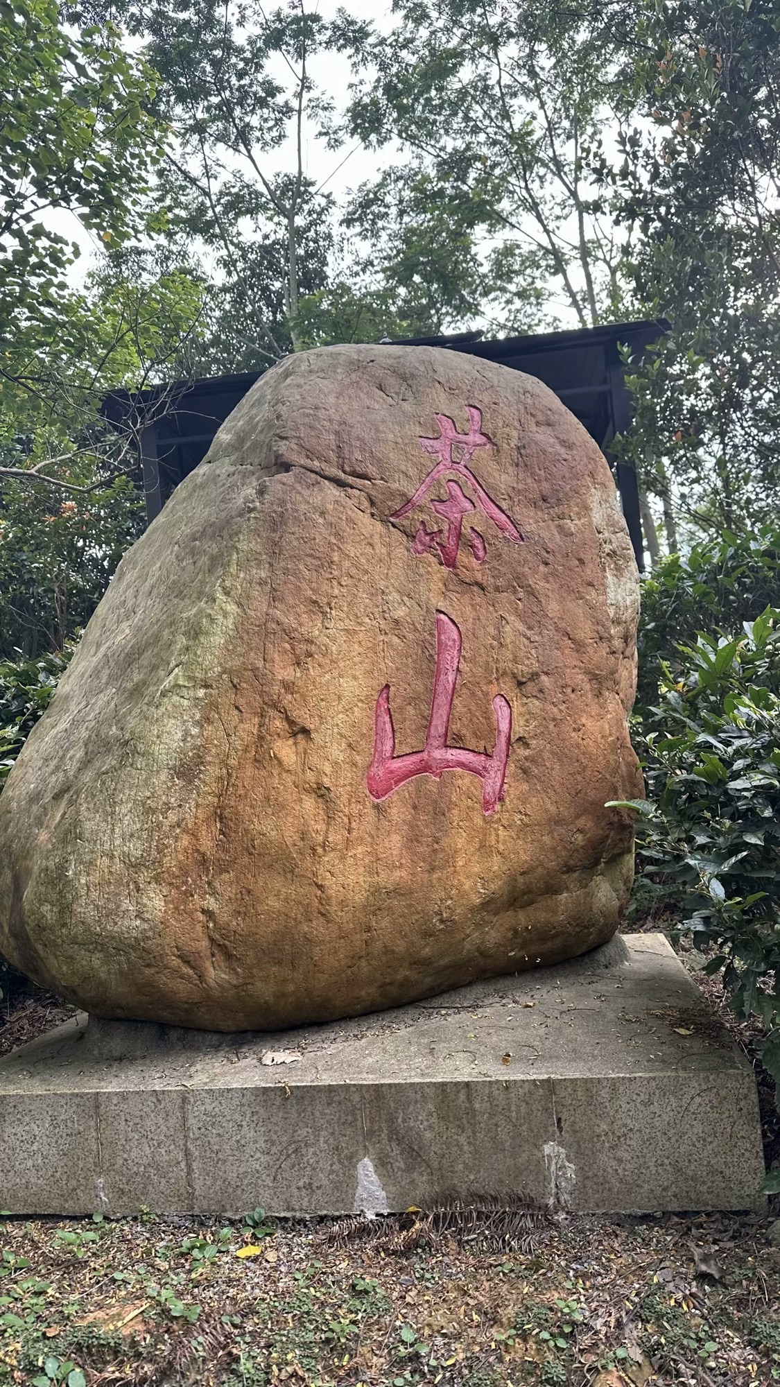 大南山森林公园旅行图片 2