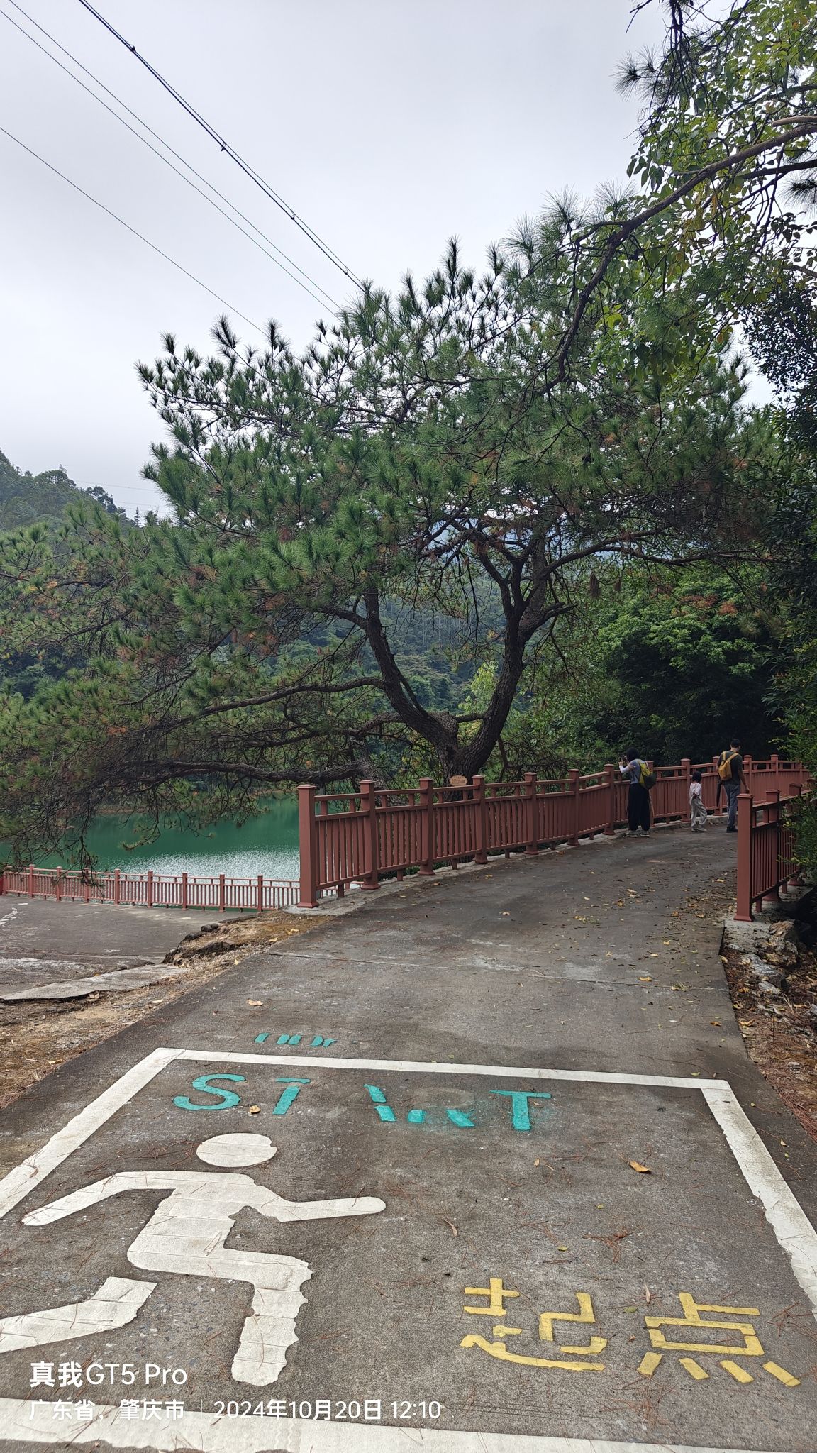 大南山森林公园旅行图片 3